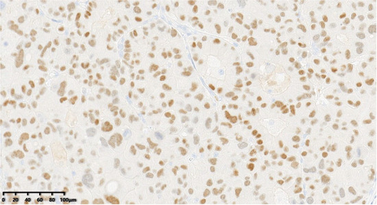 Diagnostics 14 02347 g014