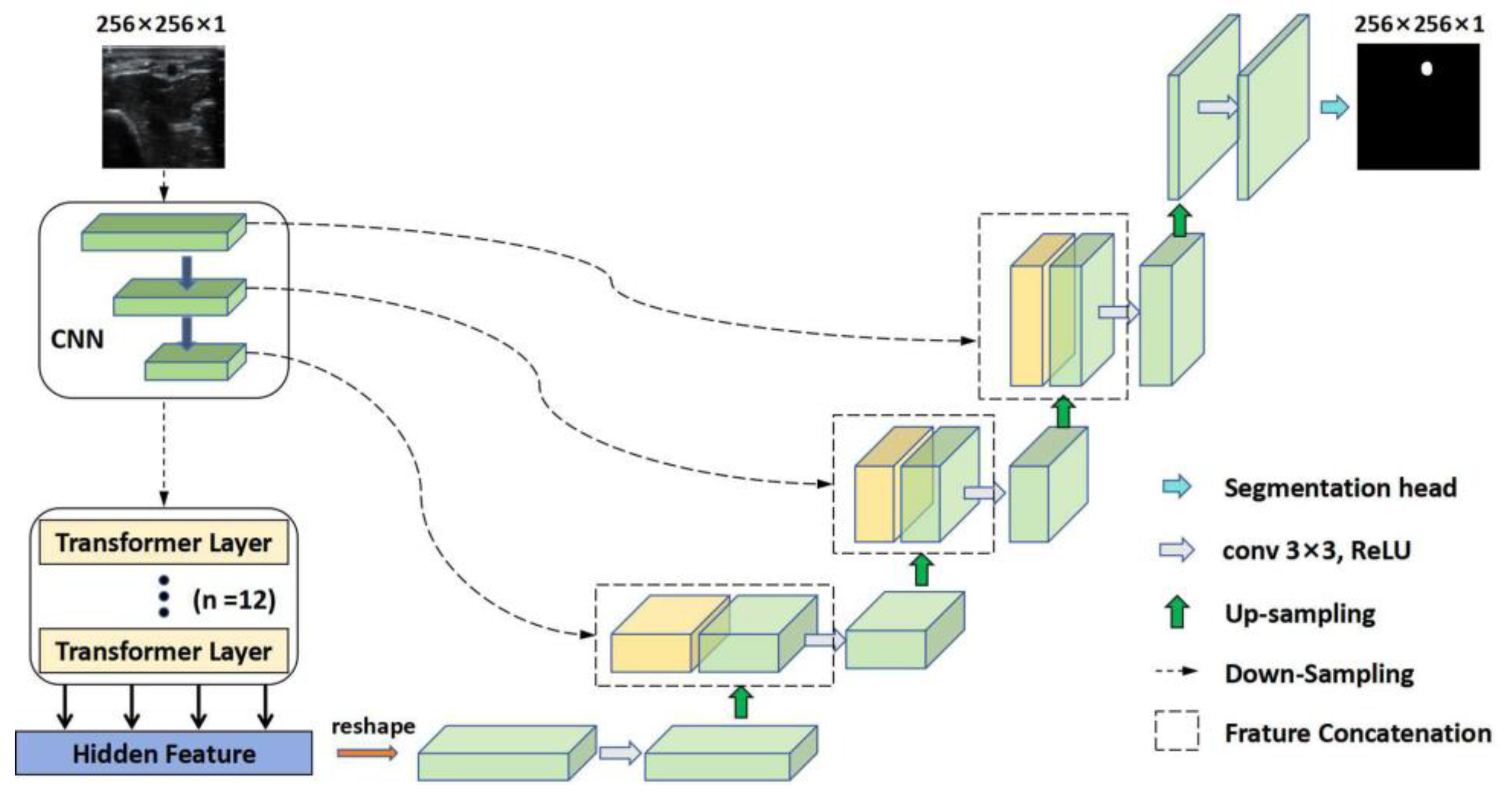 Diagnostics 14 02358 g003