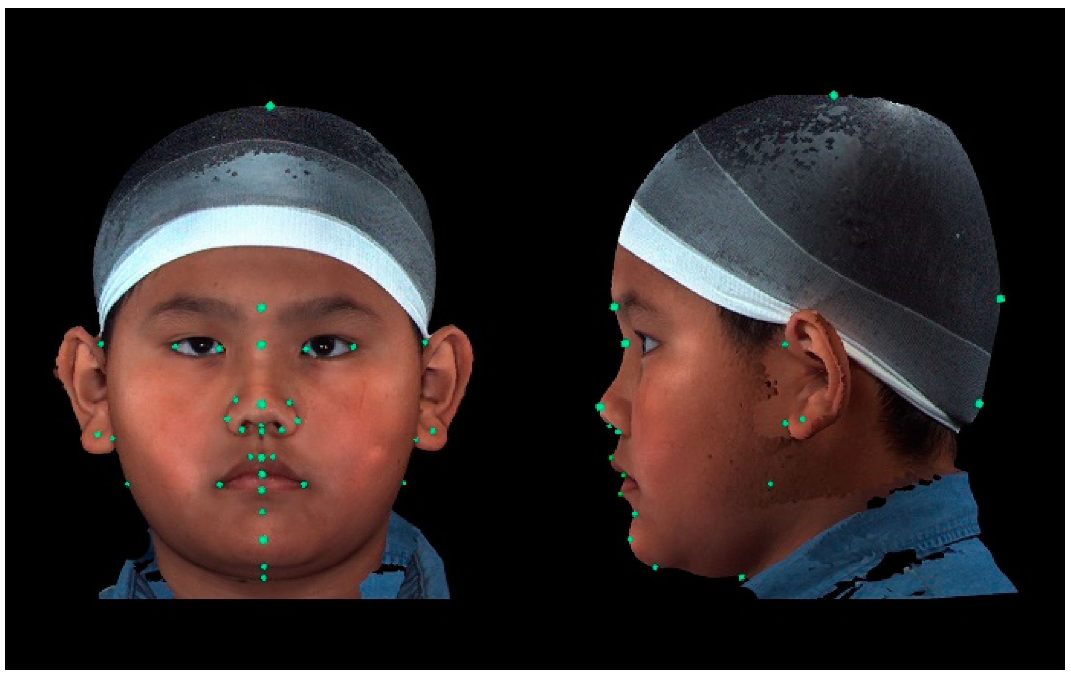 Diagnostics 14 02359 g001 Diagnostics 14 02359 g001