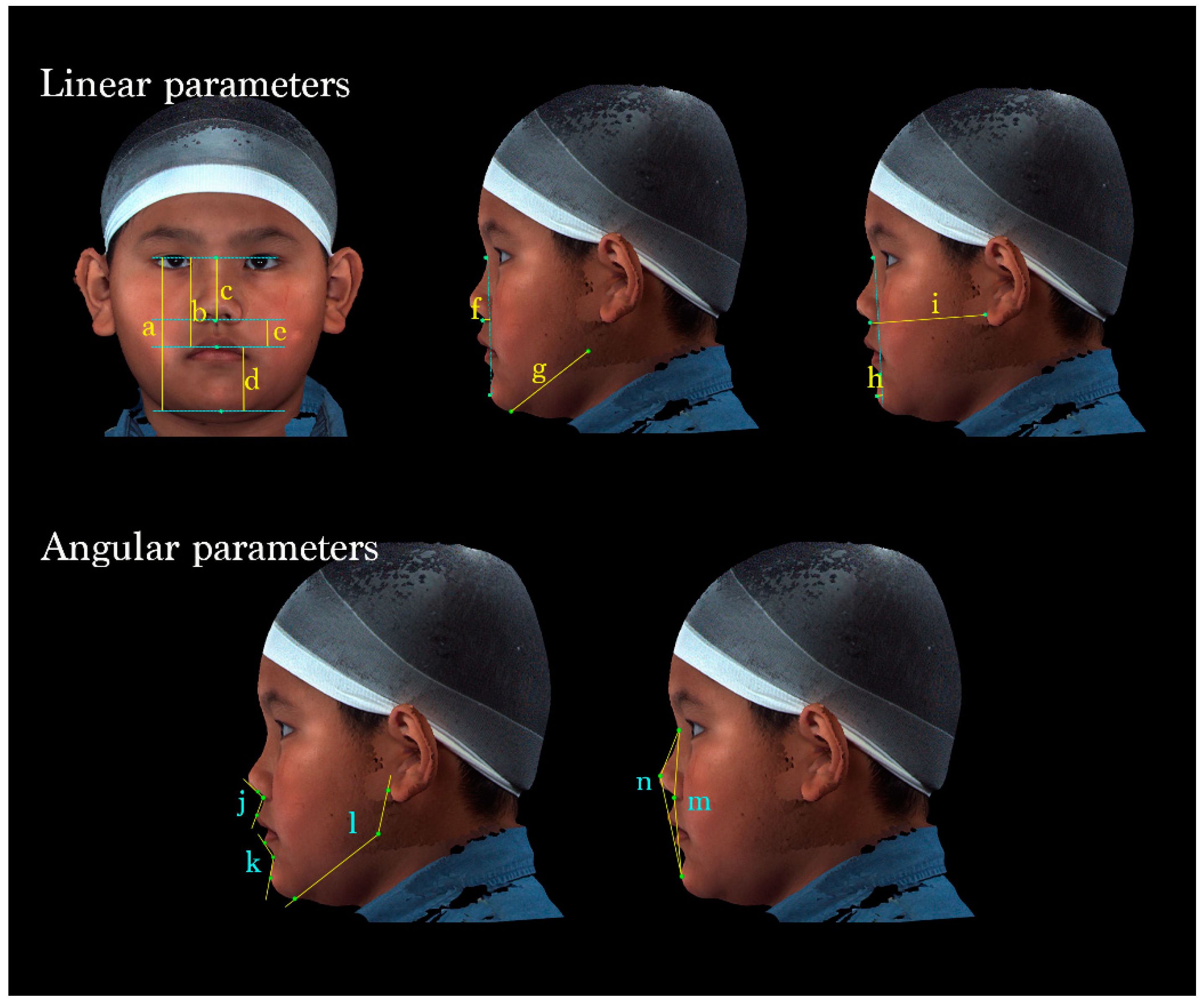 Diagnostics 14 02359 g003 Diagnostics 14 02359 g003