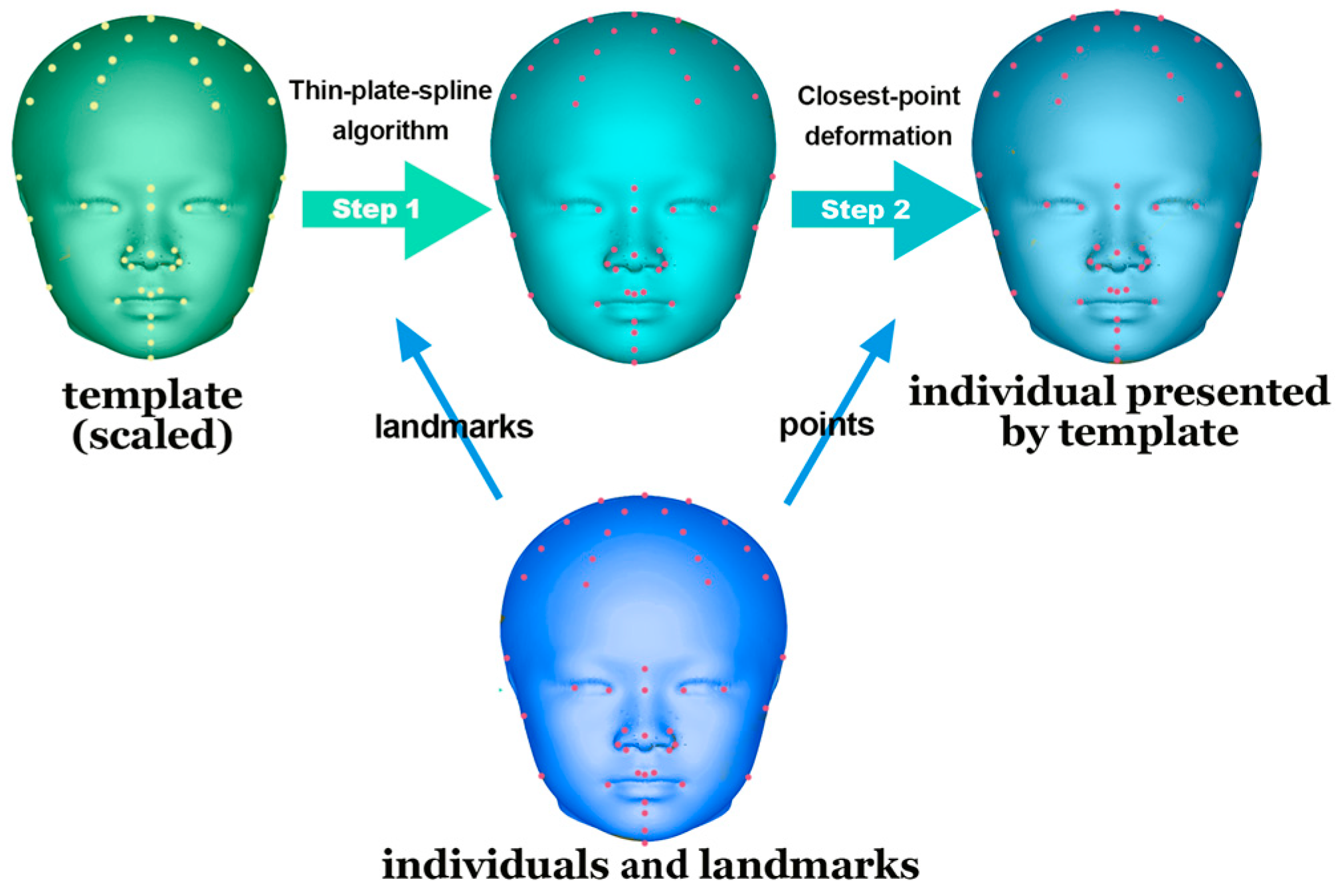 Diagnostics 14 02359 g004 Diagnostics 14 02359 g004
