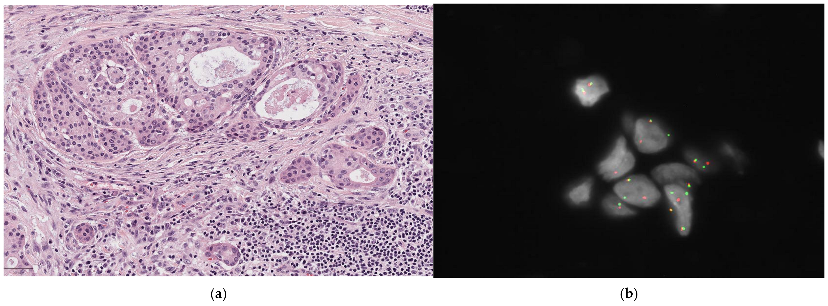 Diagnostics 14 02365 g003