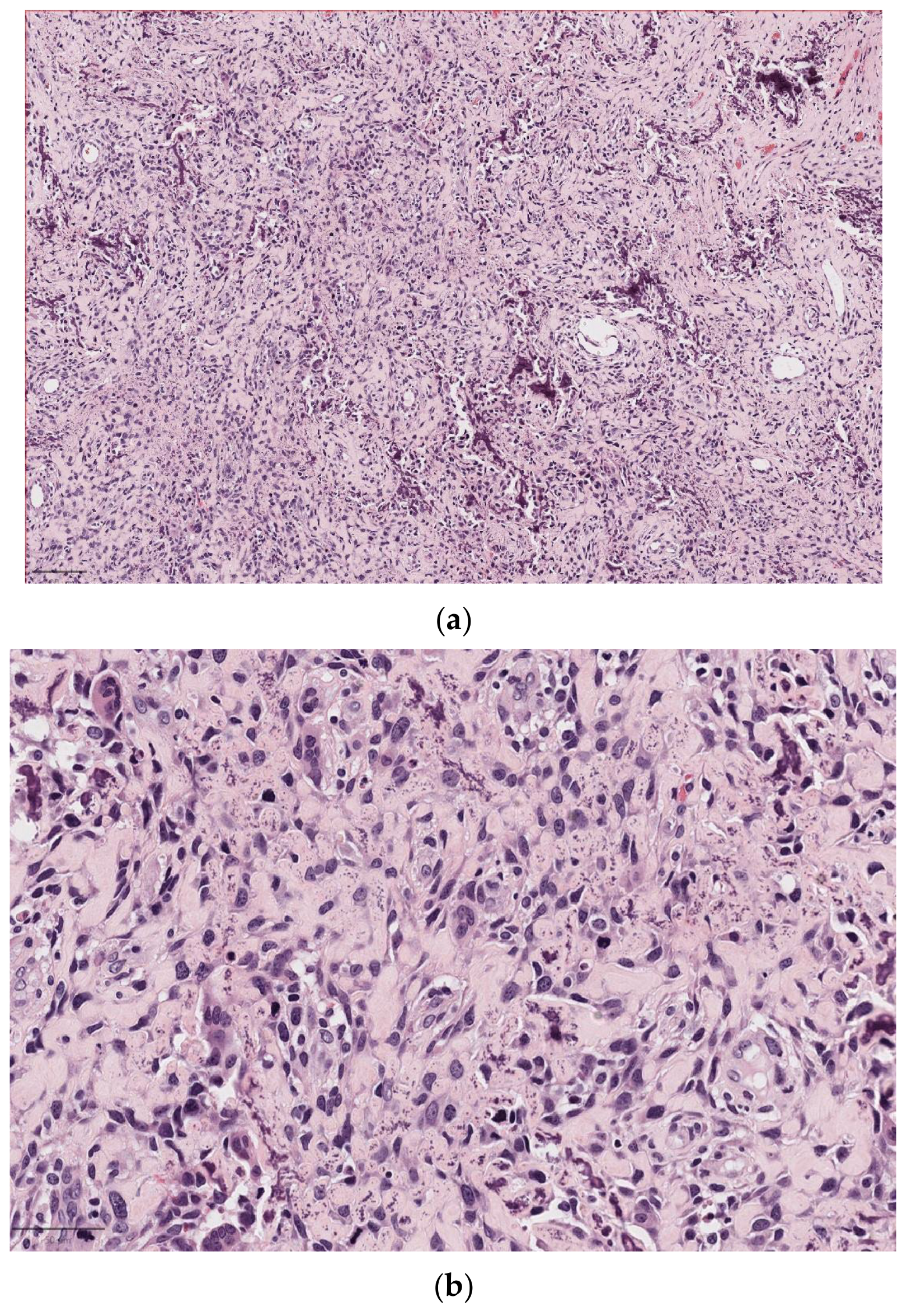 Diagnostics 14 02365 g007