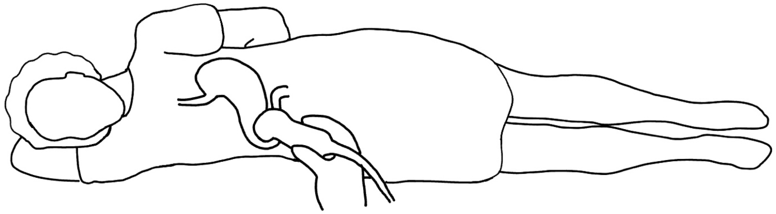 Diagnostics 14 02366 g001