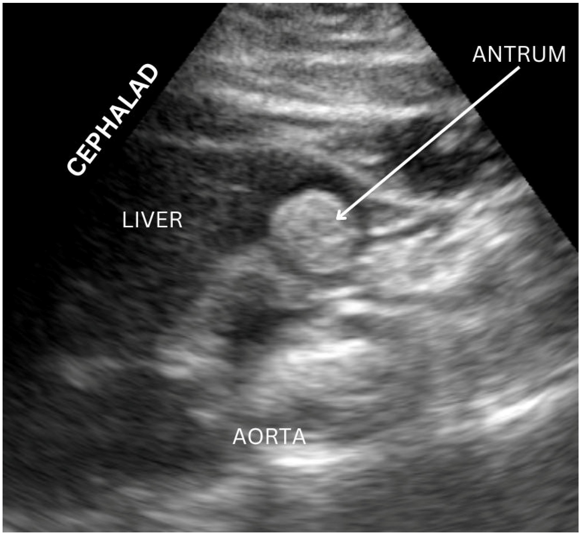 Diagnostics 14 02366 g002