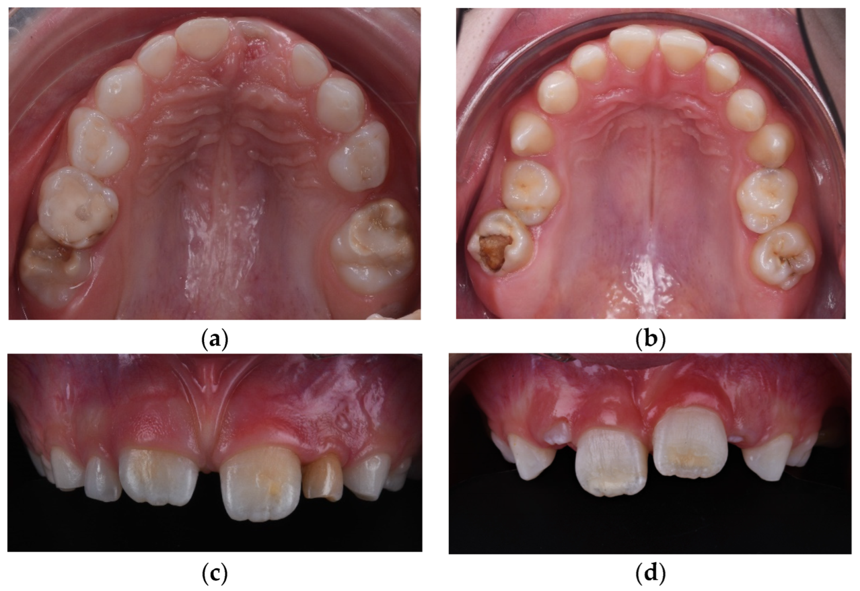 Diagnostics 14 02370 g002
