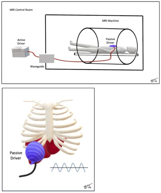 Diagnostics 14 02373 g001