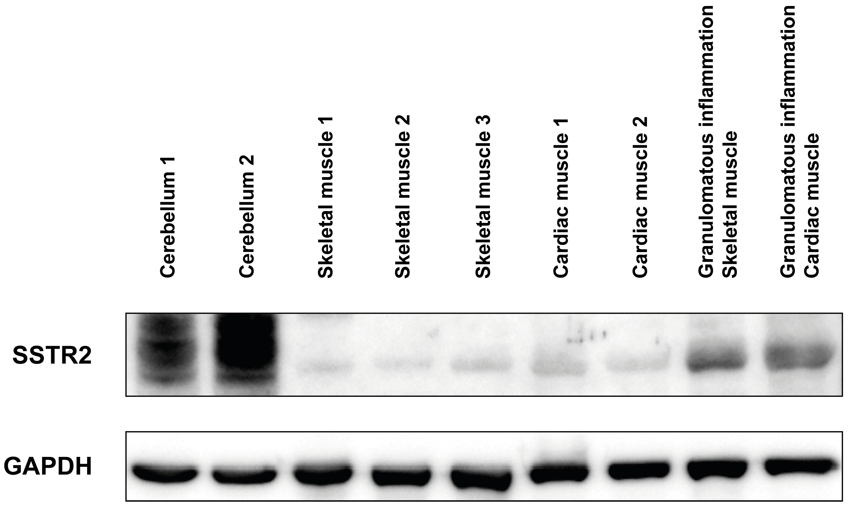 Diagnostics 14 02374 g006