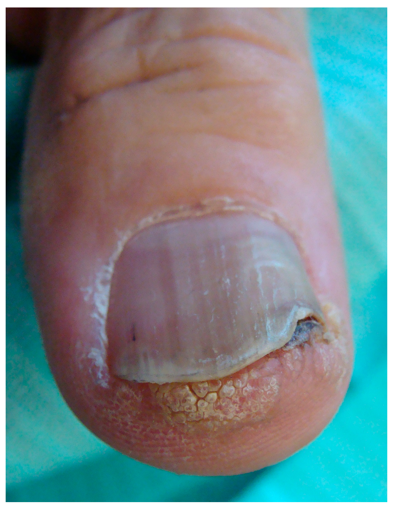 Diagnostics 14 02379 g003