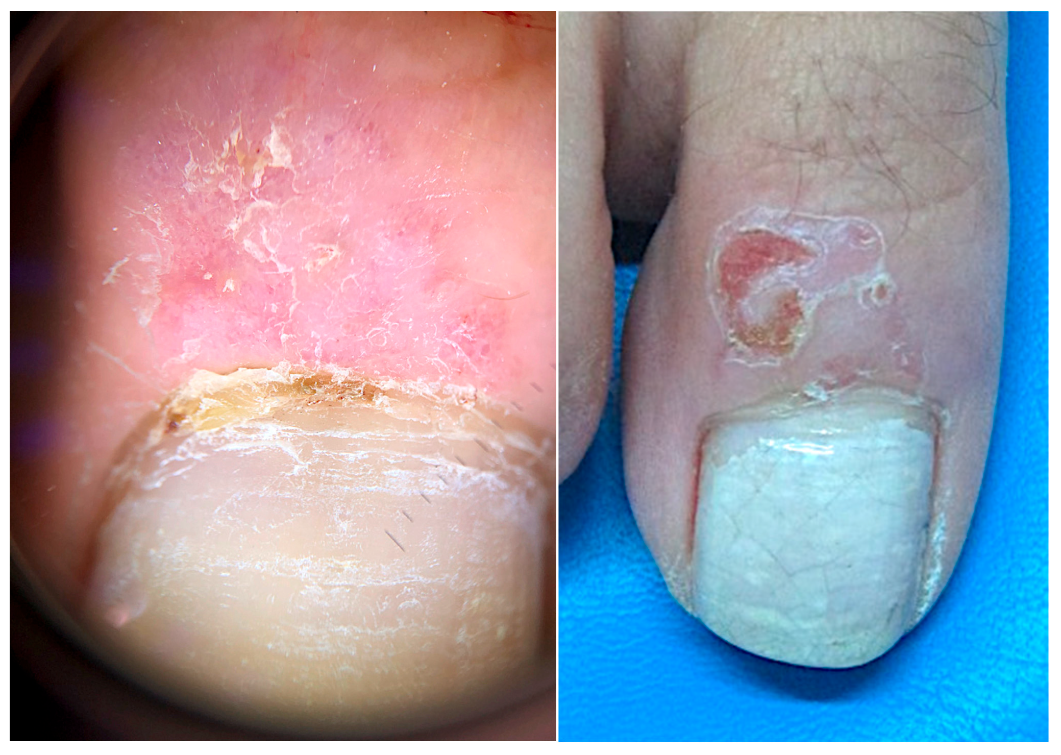 Diagnostics 14 02379 g011