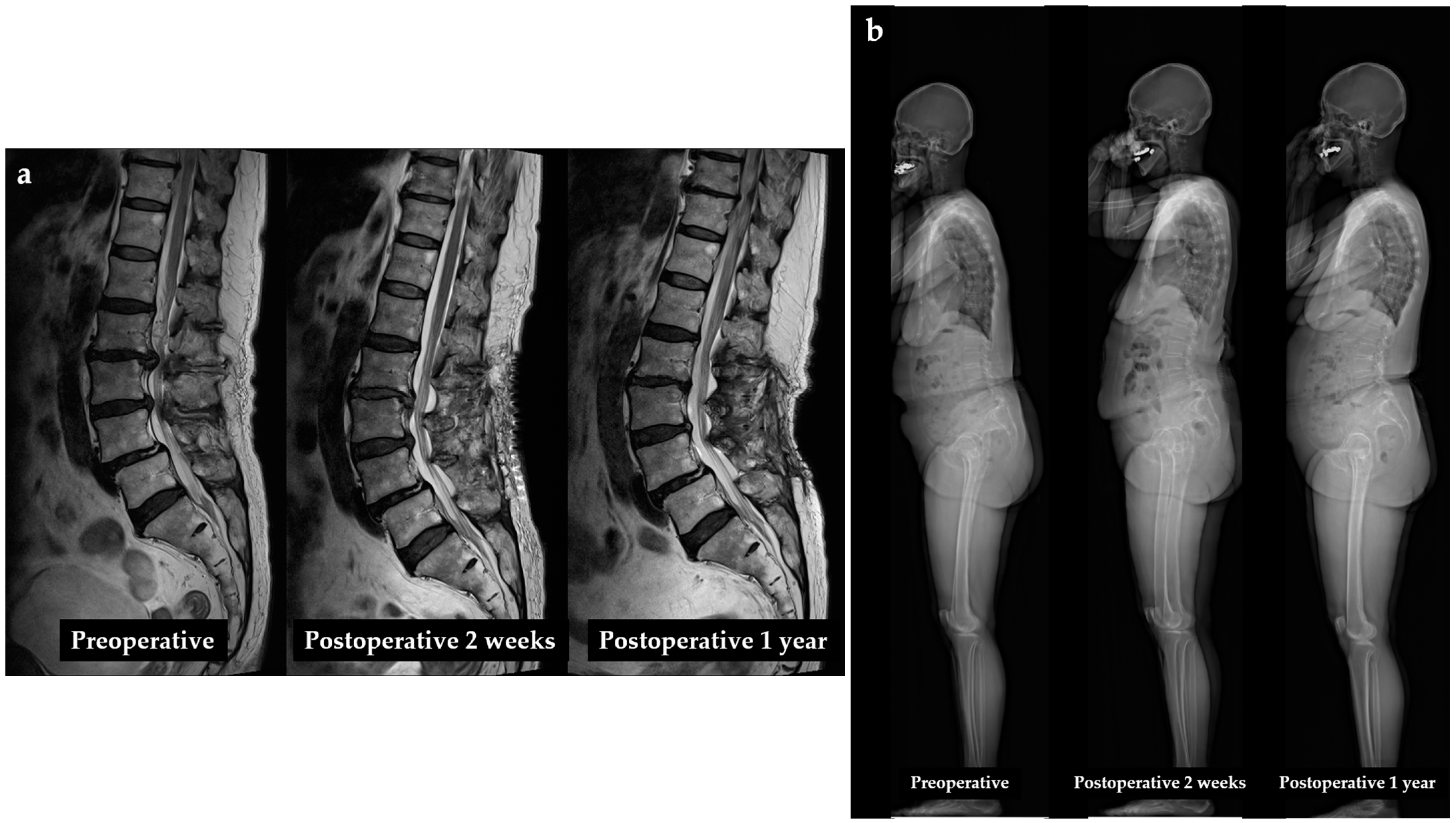 Diagnostics 14 02380 g003