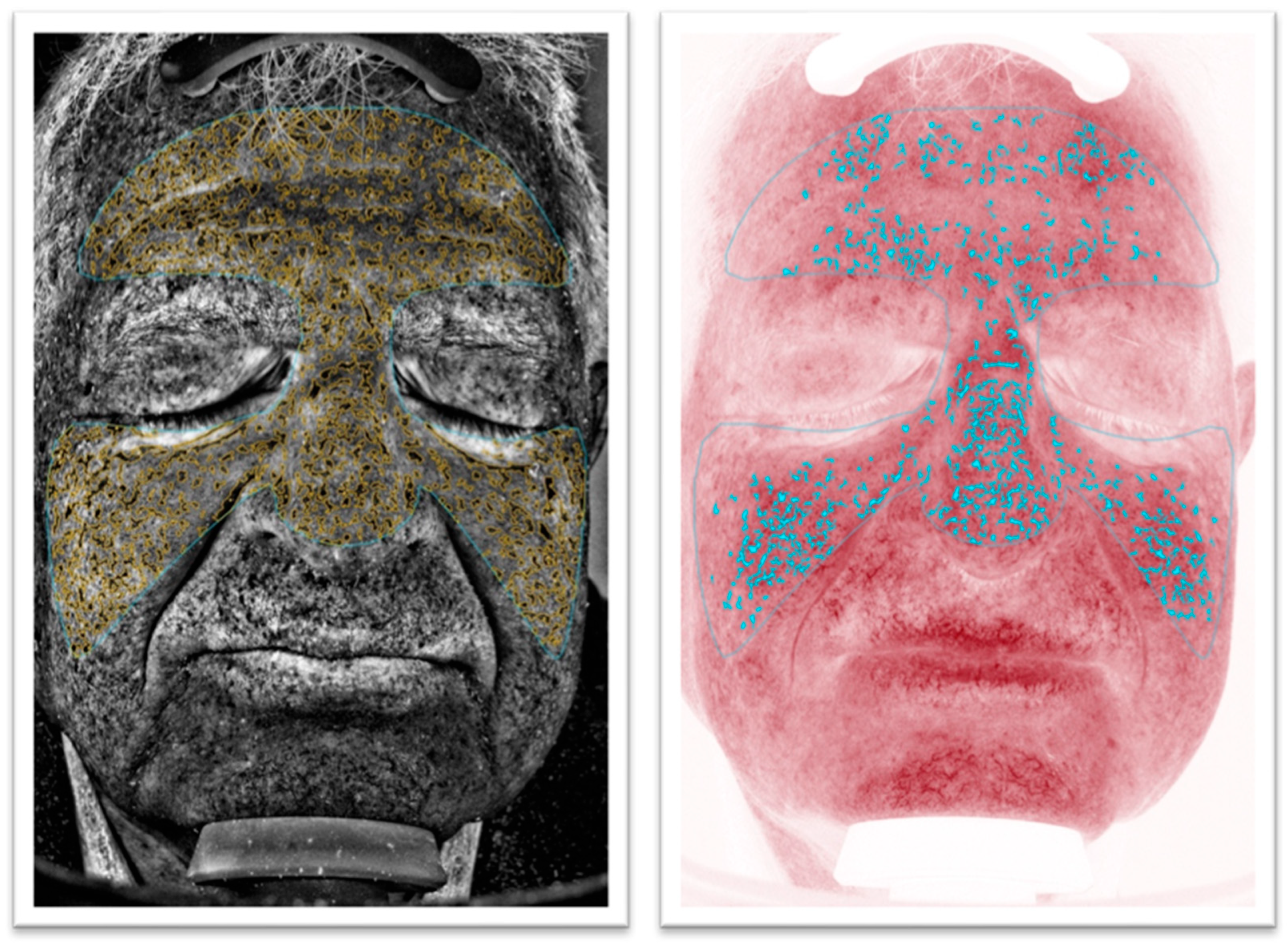 Diagnostics 14 02381 g001