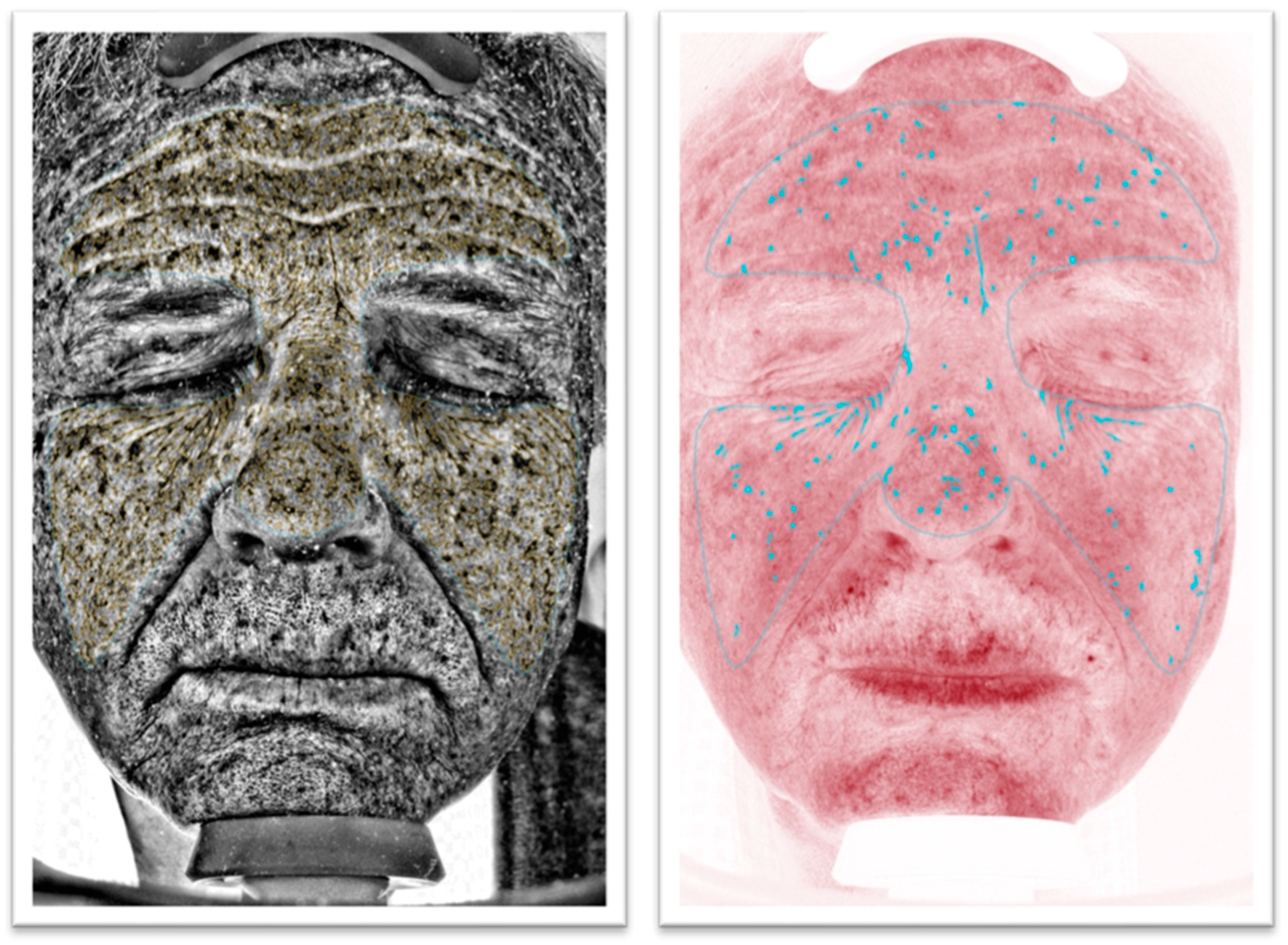 Diagnostics 14 02381 g002