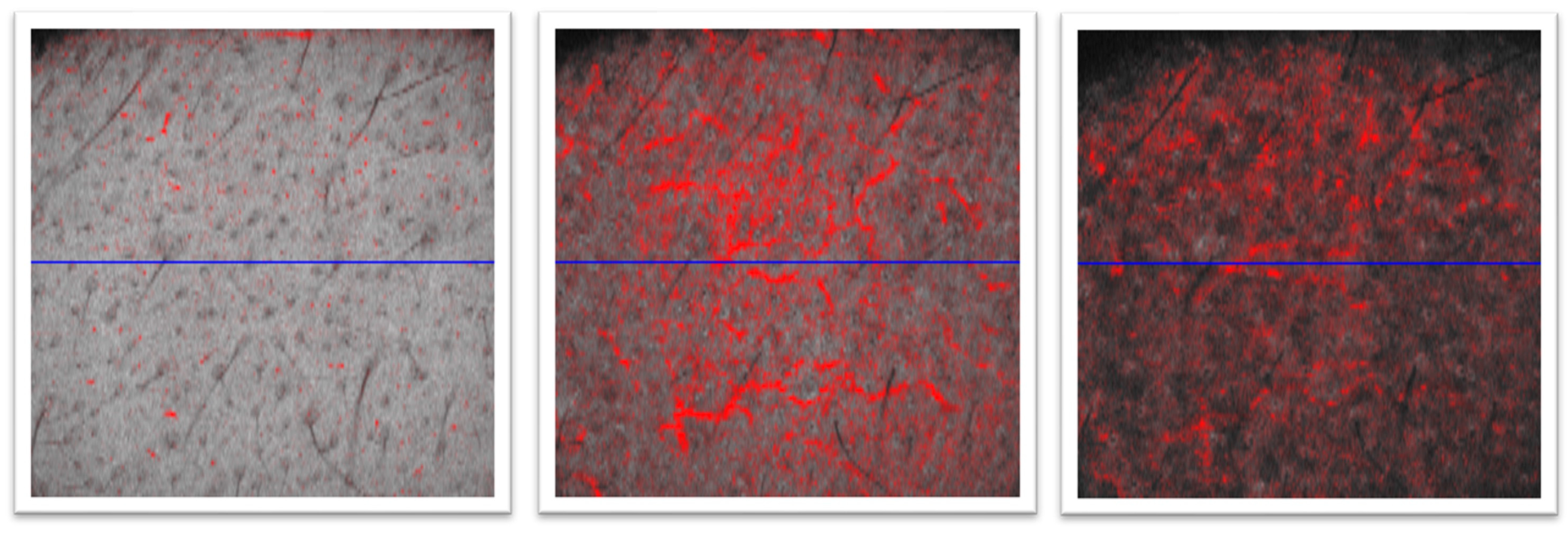 Diagnostics 14 02381 g004