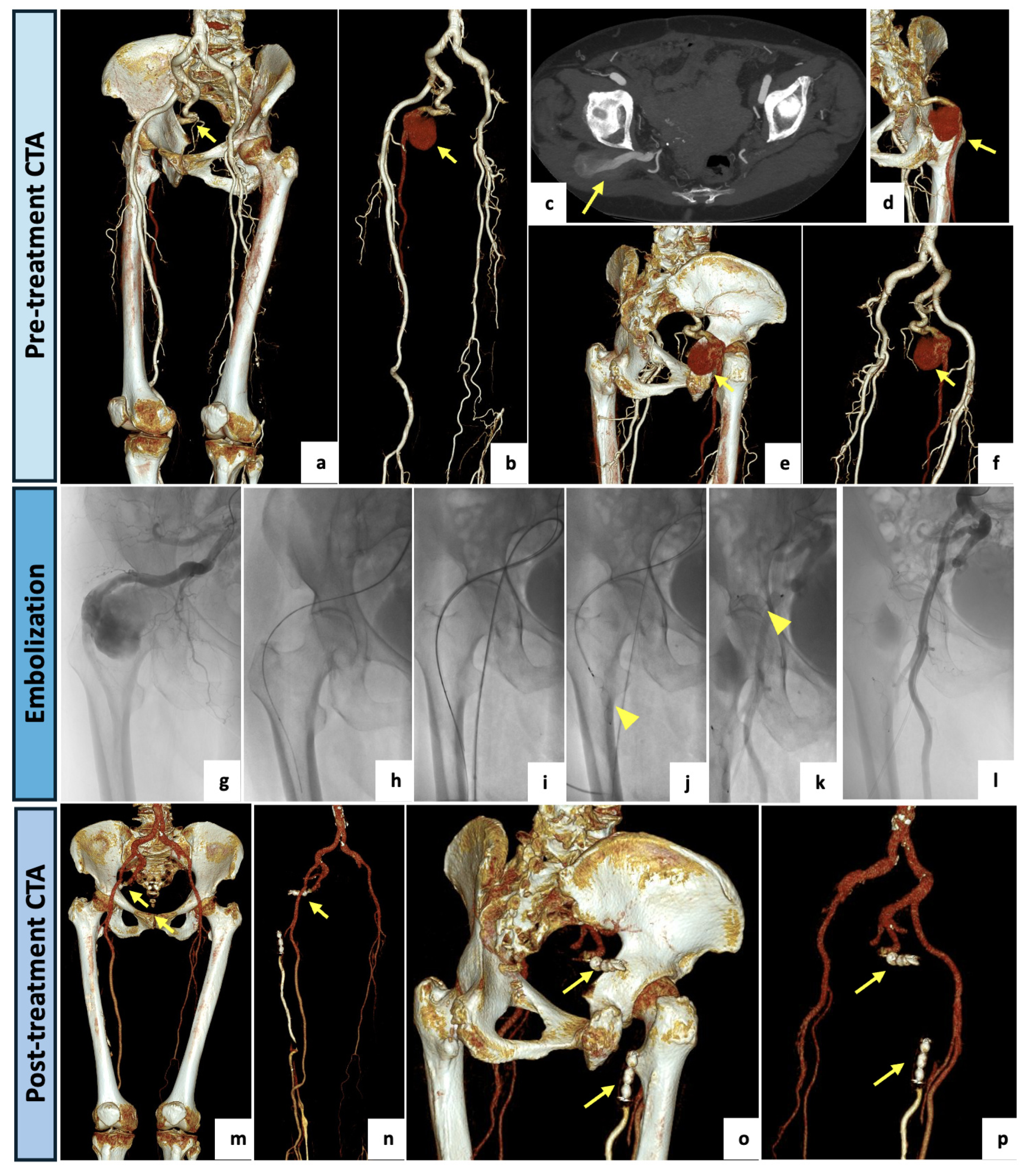 Diagnostics 14 02383 g002
