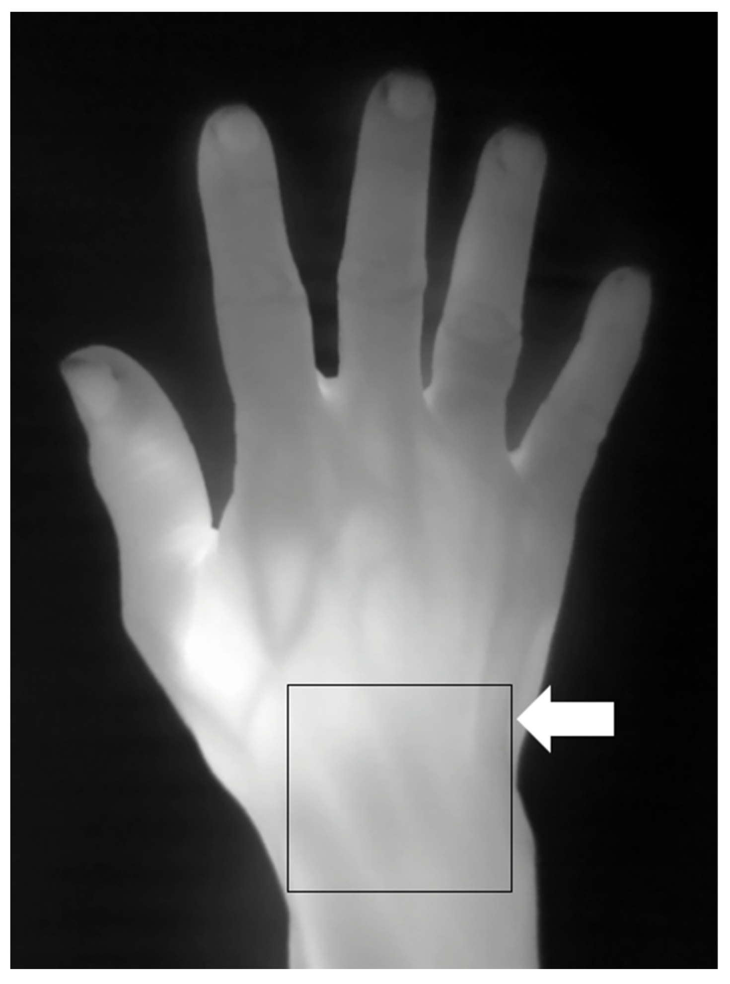 Diagnostics 14 02384 g002