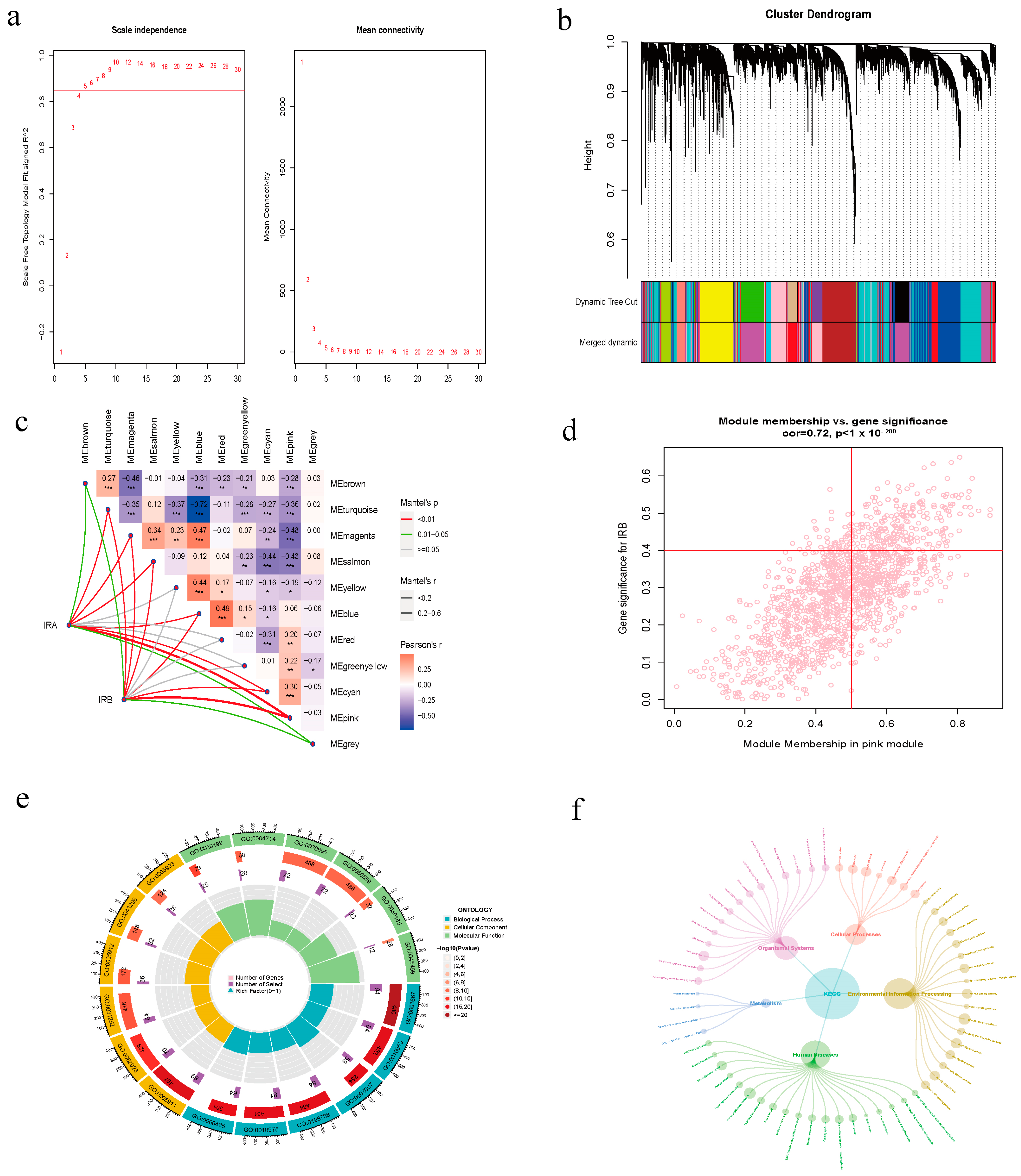 Diagnostics 14 02398 g003