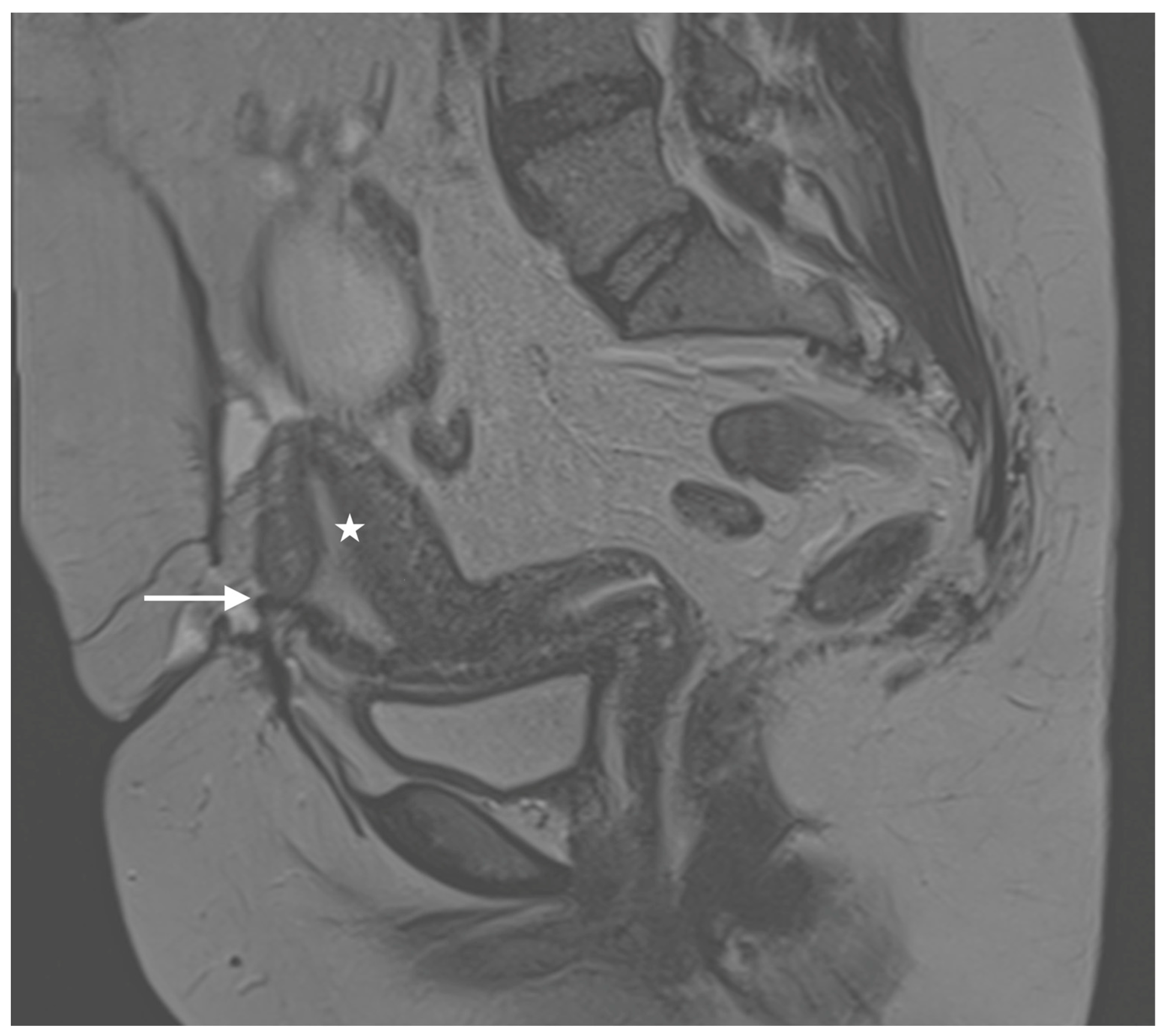 Diagnostics 14 02403 g001