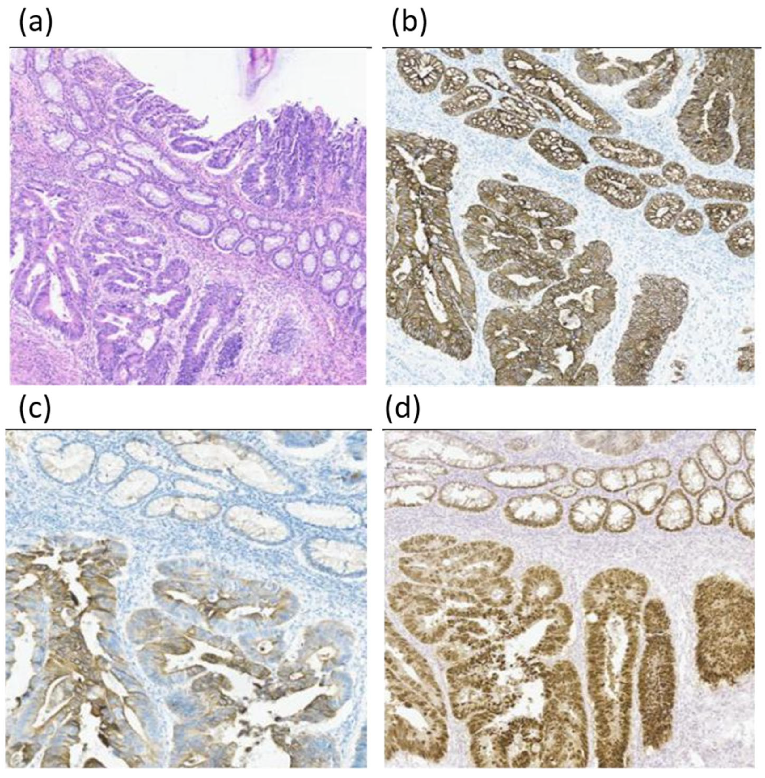 Diagnostics 14 02420 g002