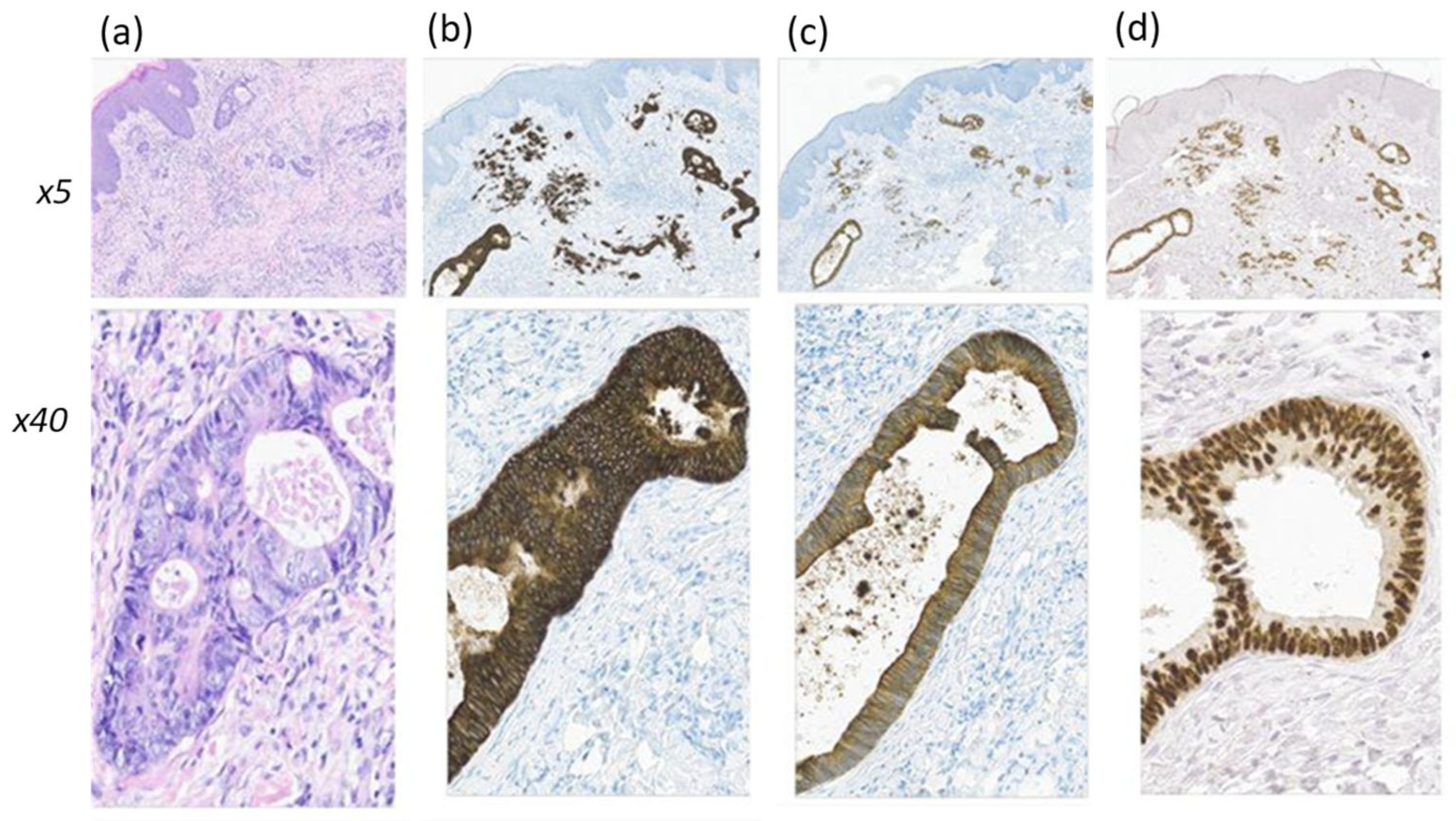 Diagnostics 14 02420 g004