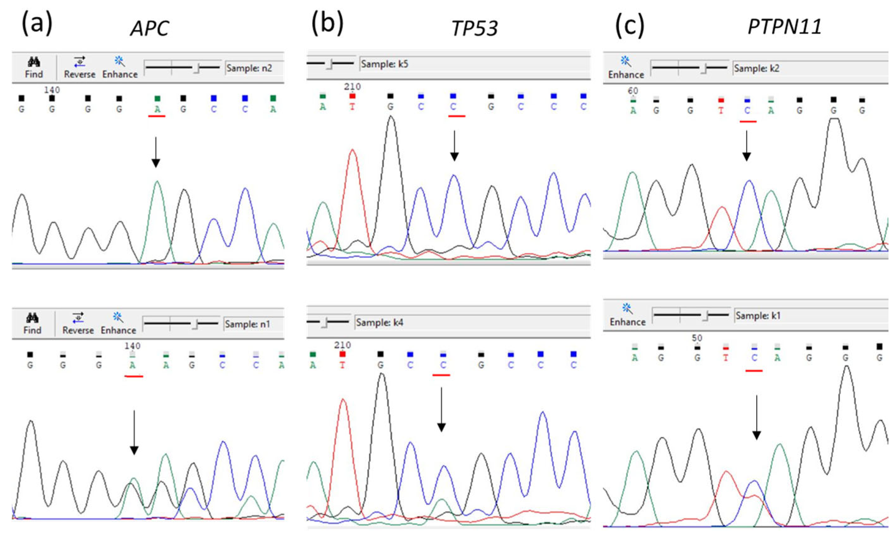 Diagnostics 14 02420 g008