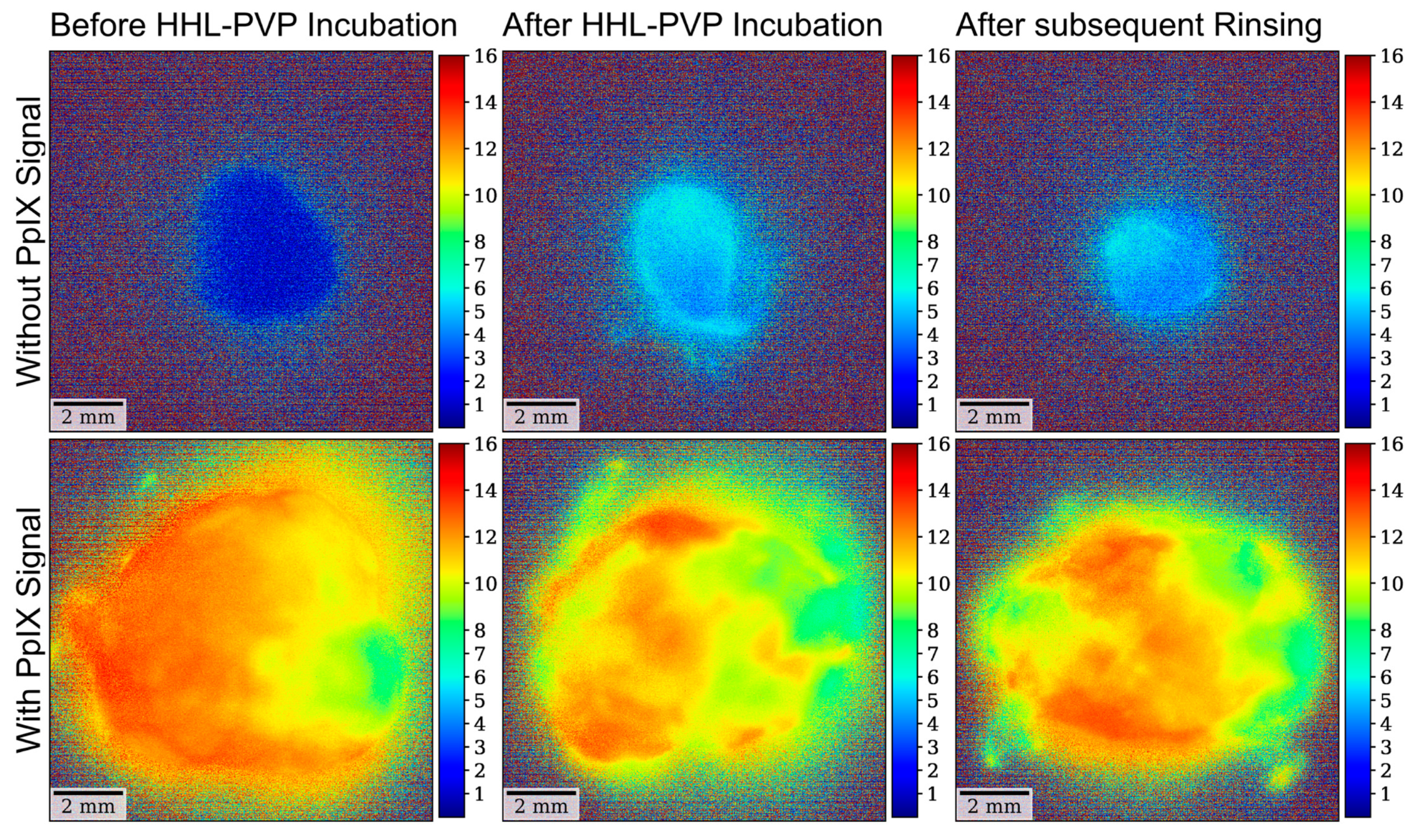 Diagnostics 14 02423 g005
