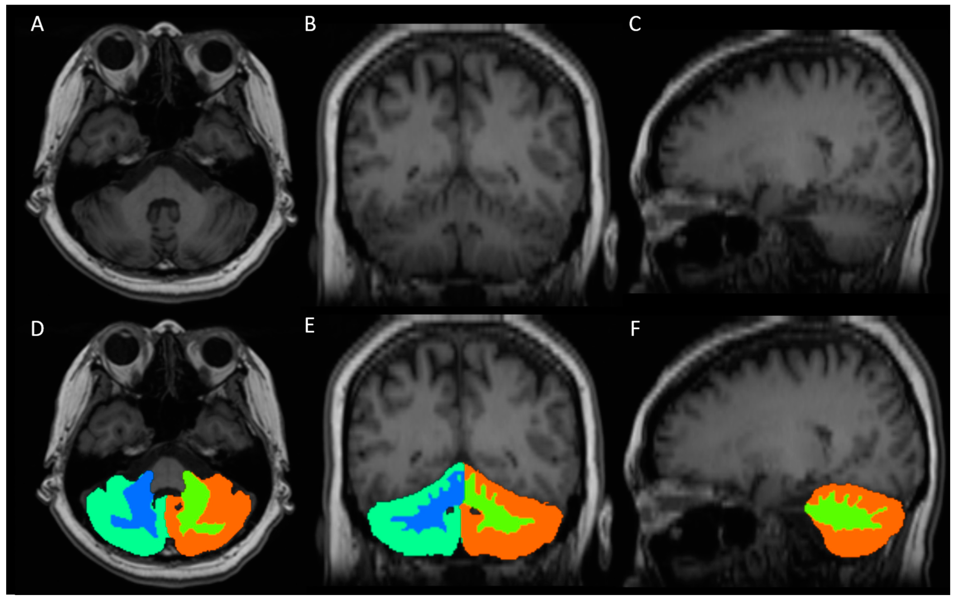 Diagnostics 14 02430 g002