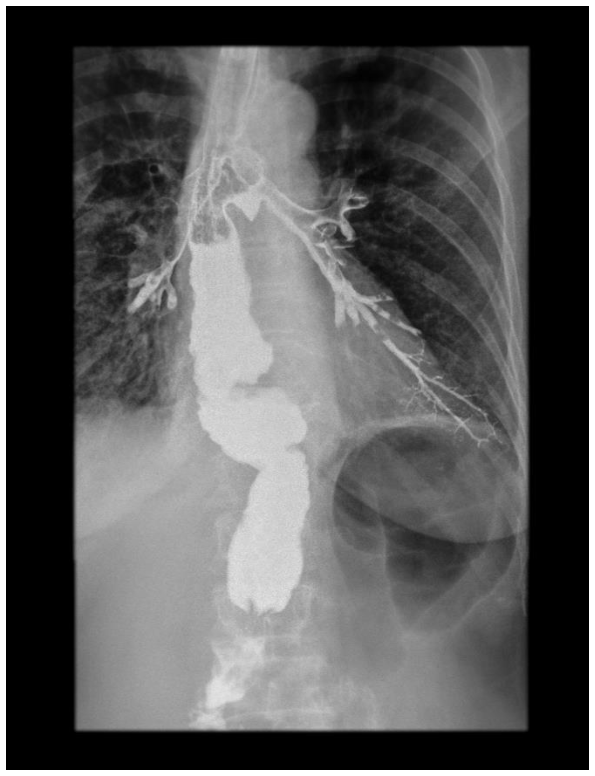 Diagnostics 14 02432 g002