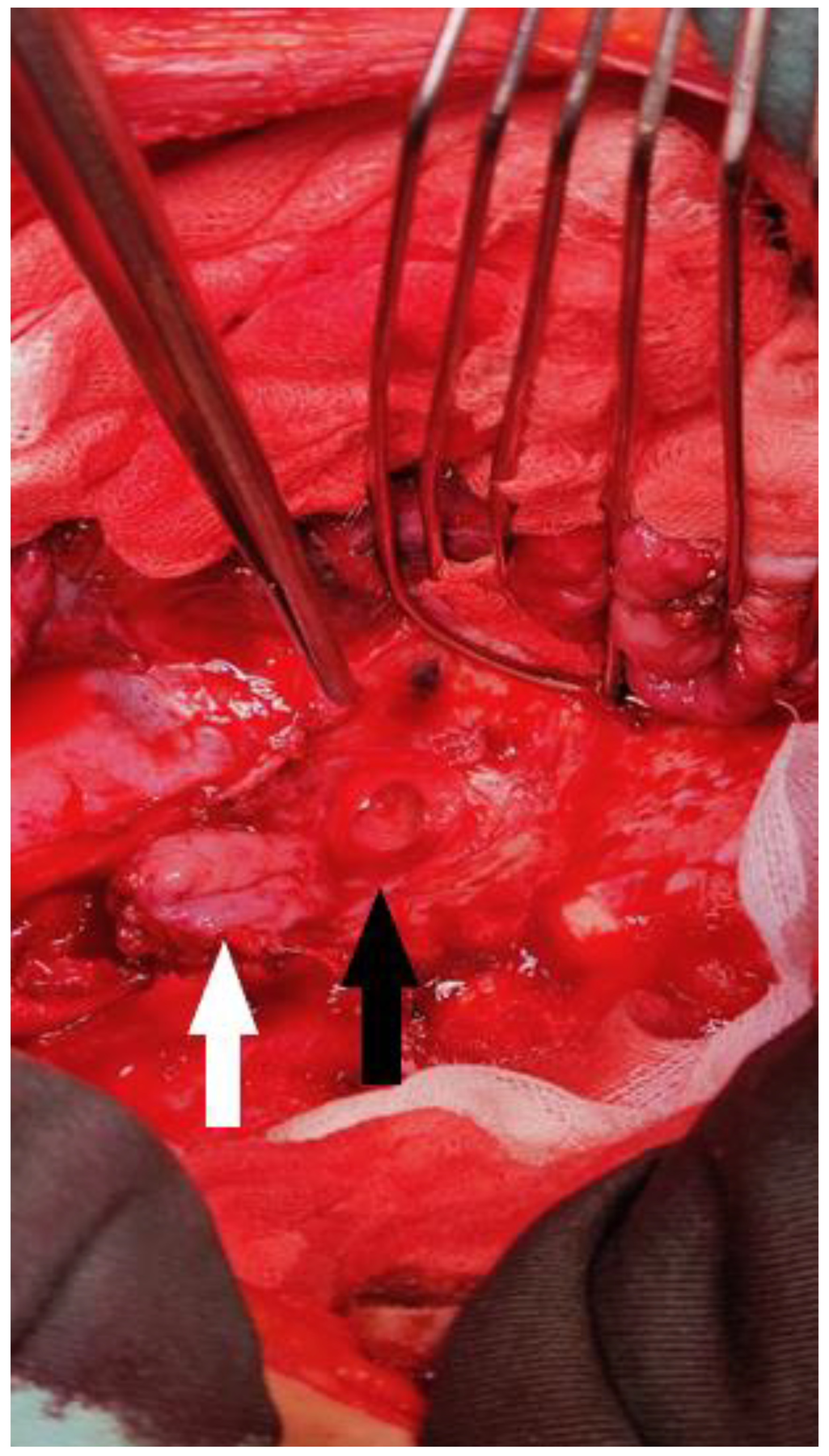 Diagnostics 14 02432 g003