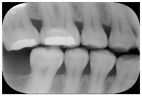 Diagnostics 14 02442 i001