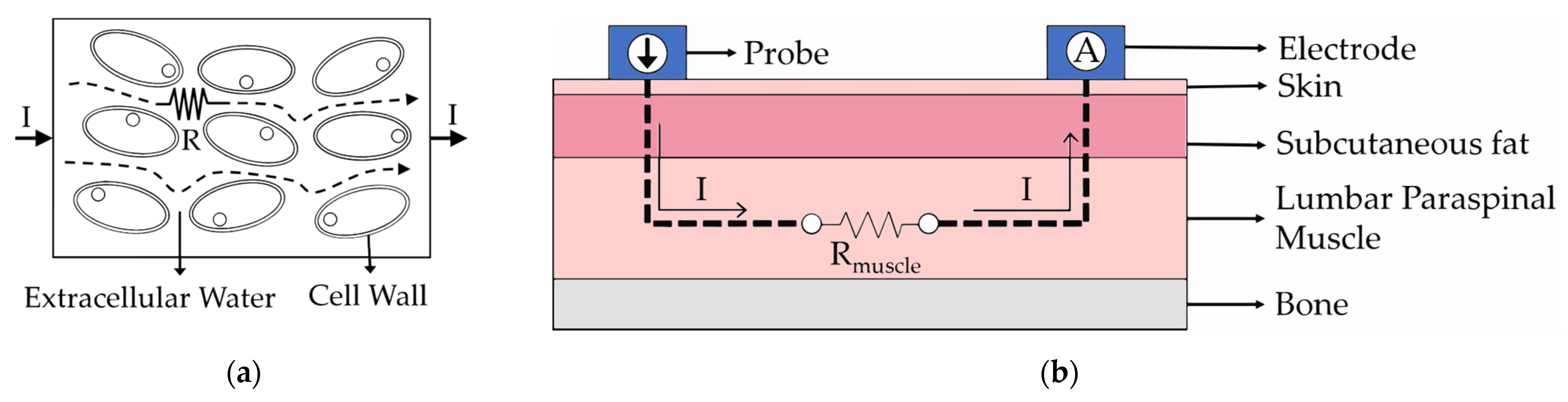 Diagnostics 14 02447 g001