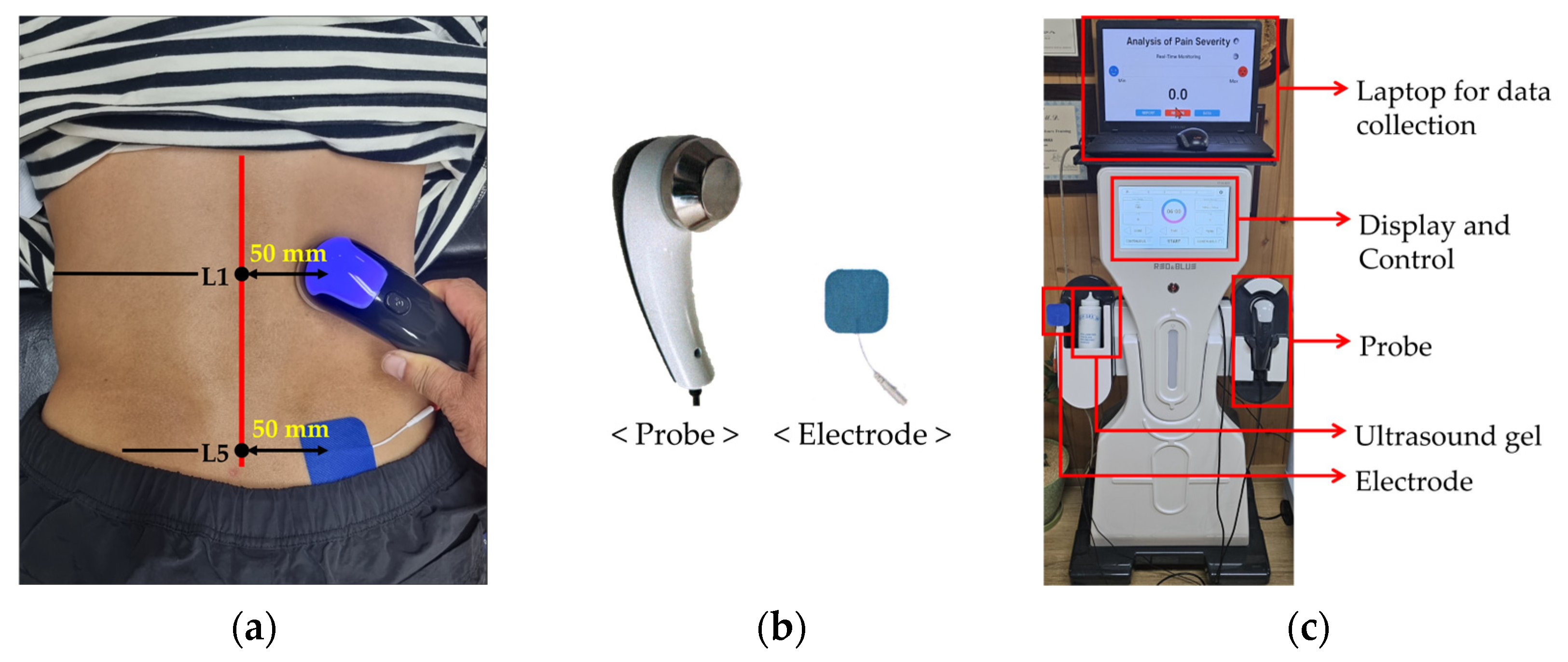 Diagnostics 14 02447 g002
