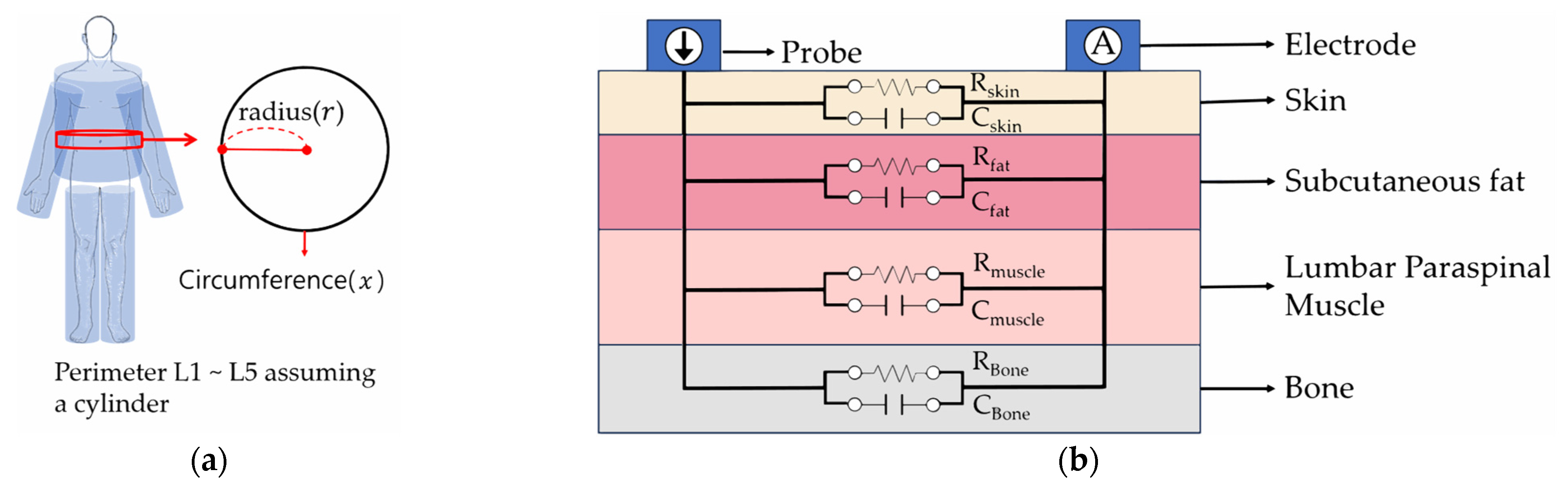 Diagnostics 14 02447 g003