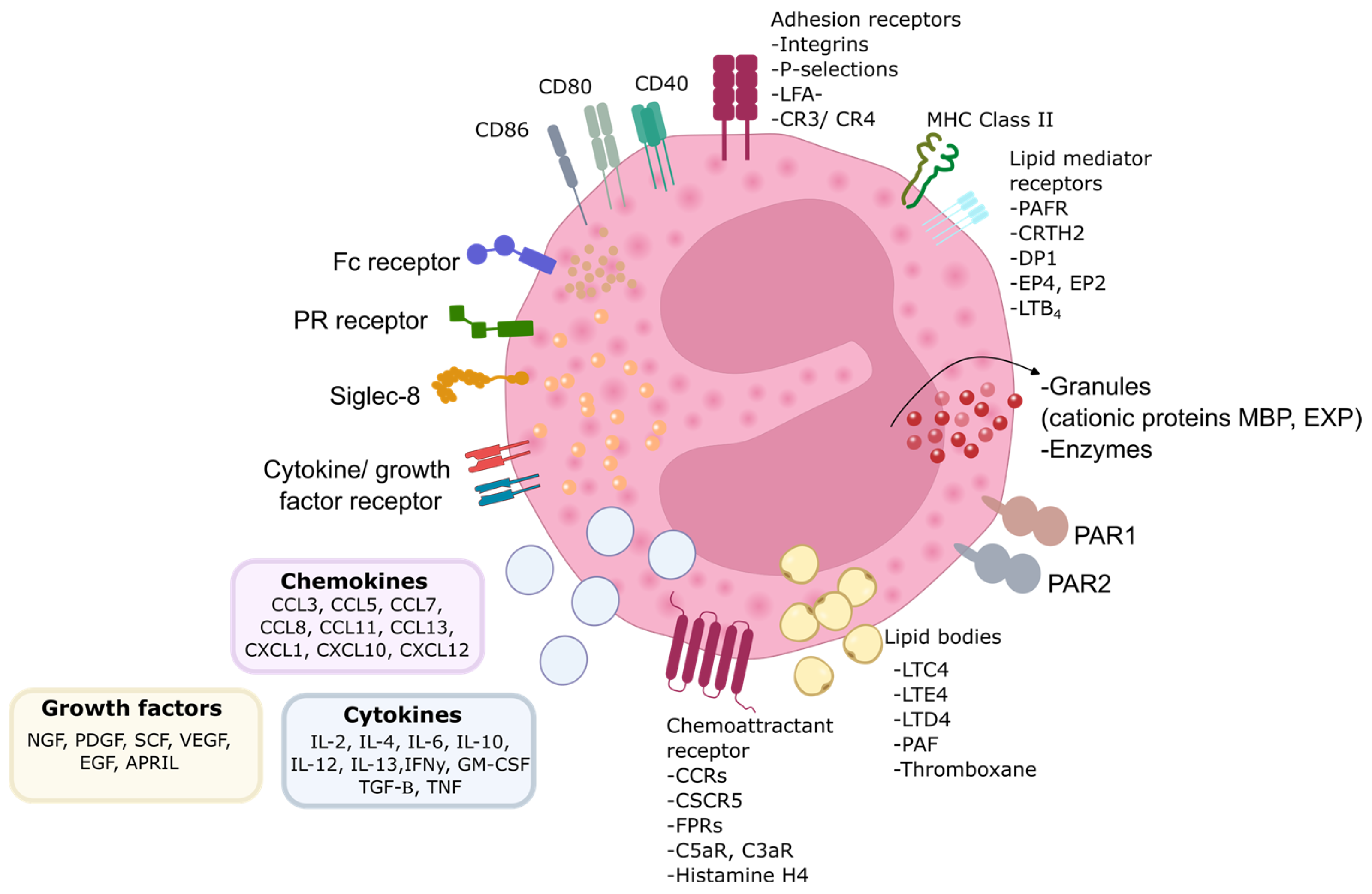Diagnostics 14 02448 g001