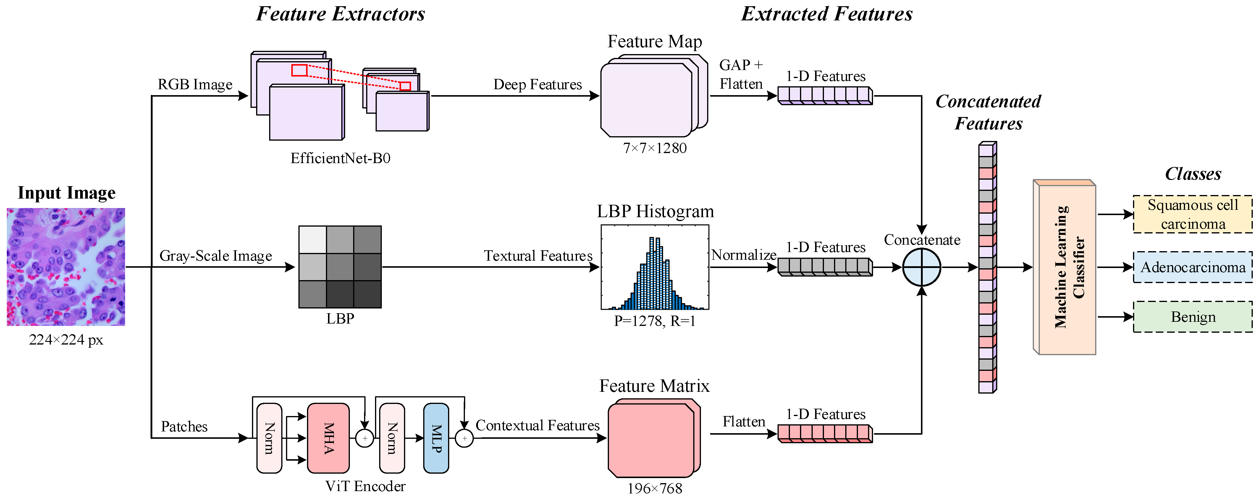 Diagnostics 14 02497 g001
