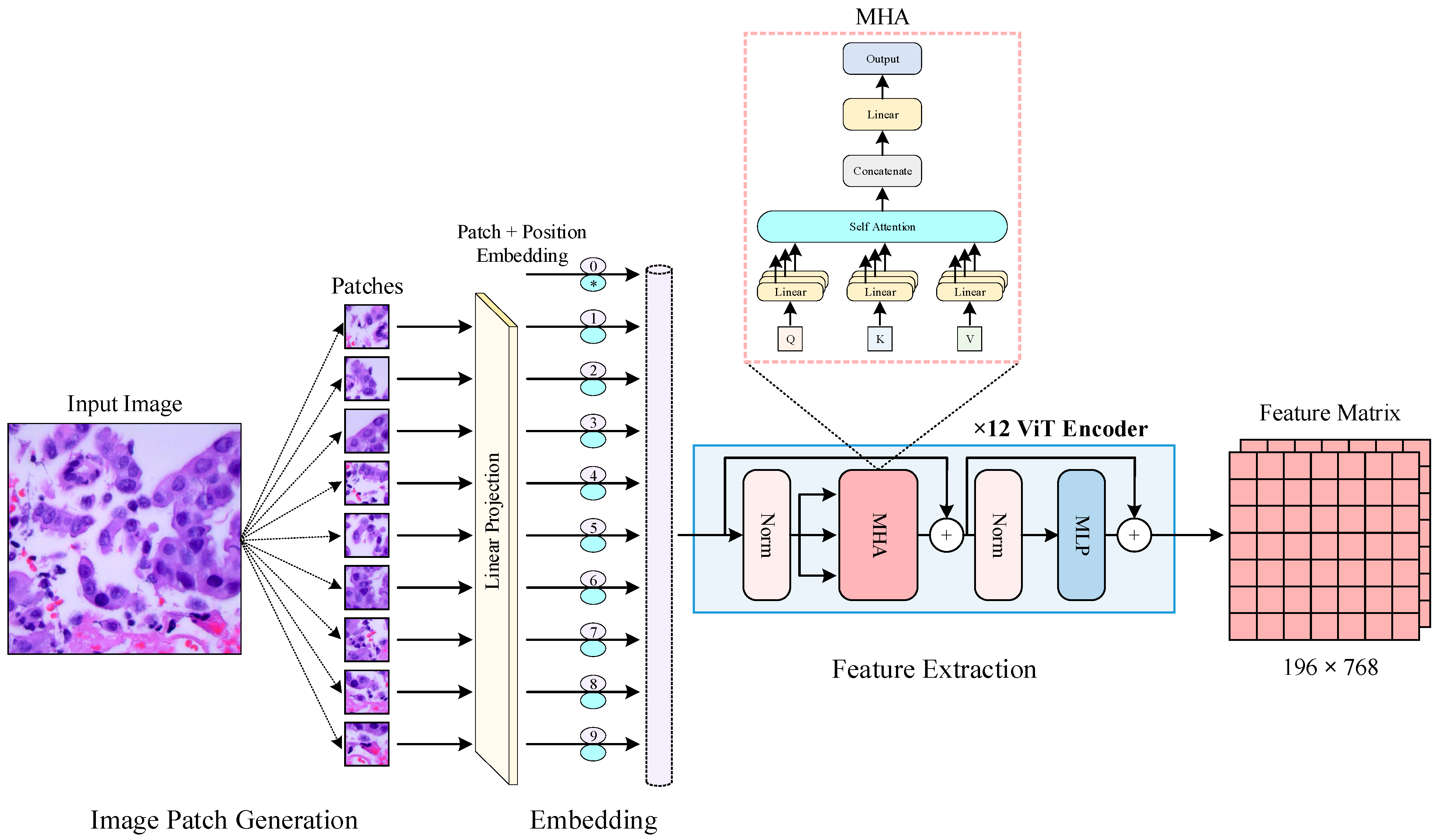 Diagnostics 14 02497 g004