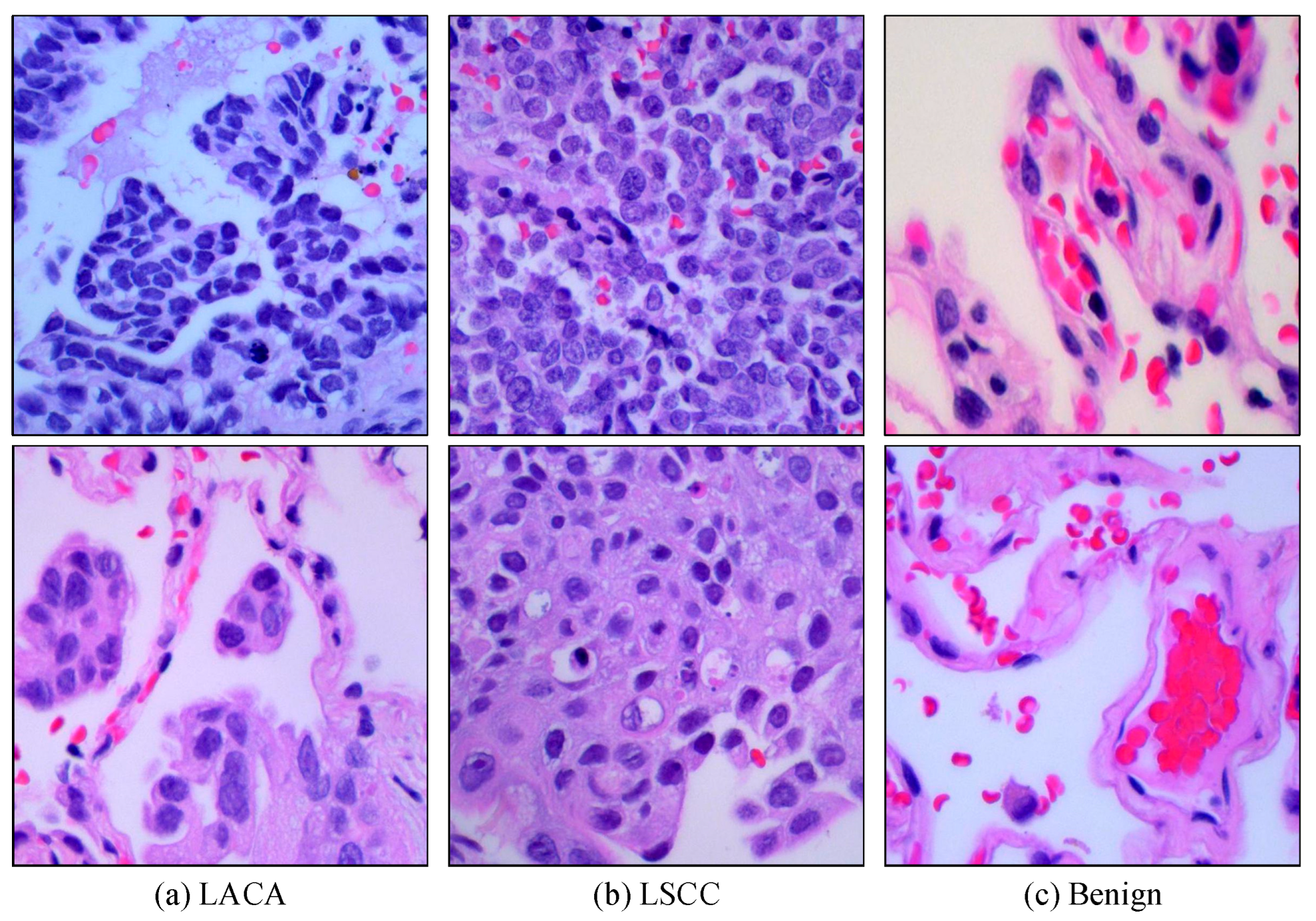 Diagnostics 14 02497 g005