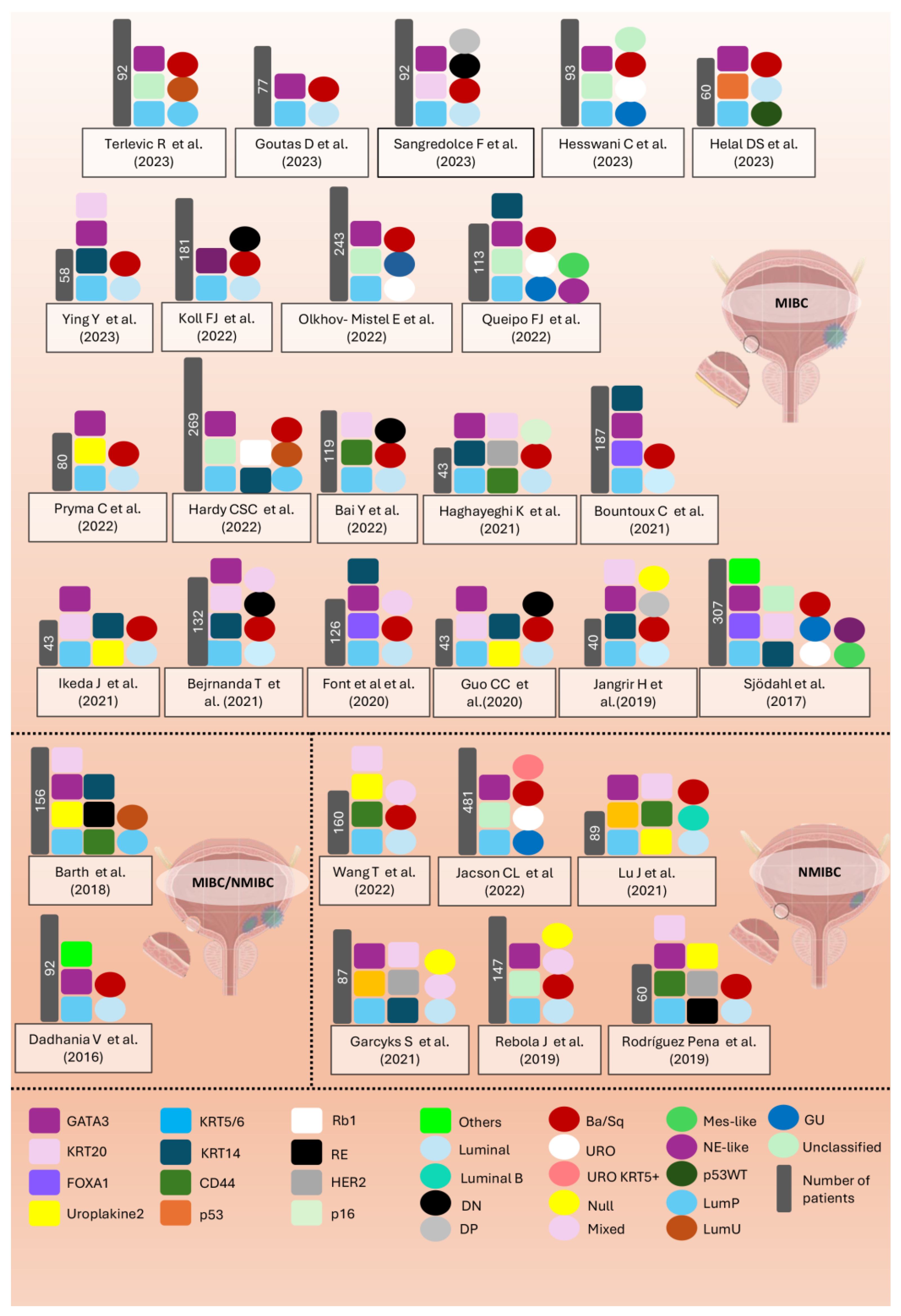 Diagnostics 14 02501 g004