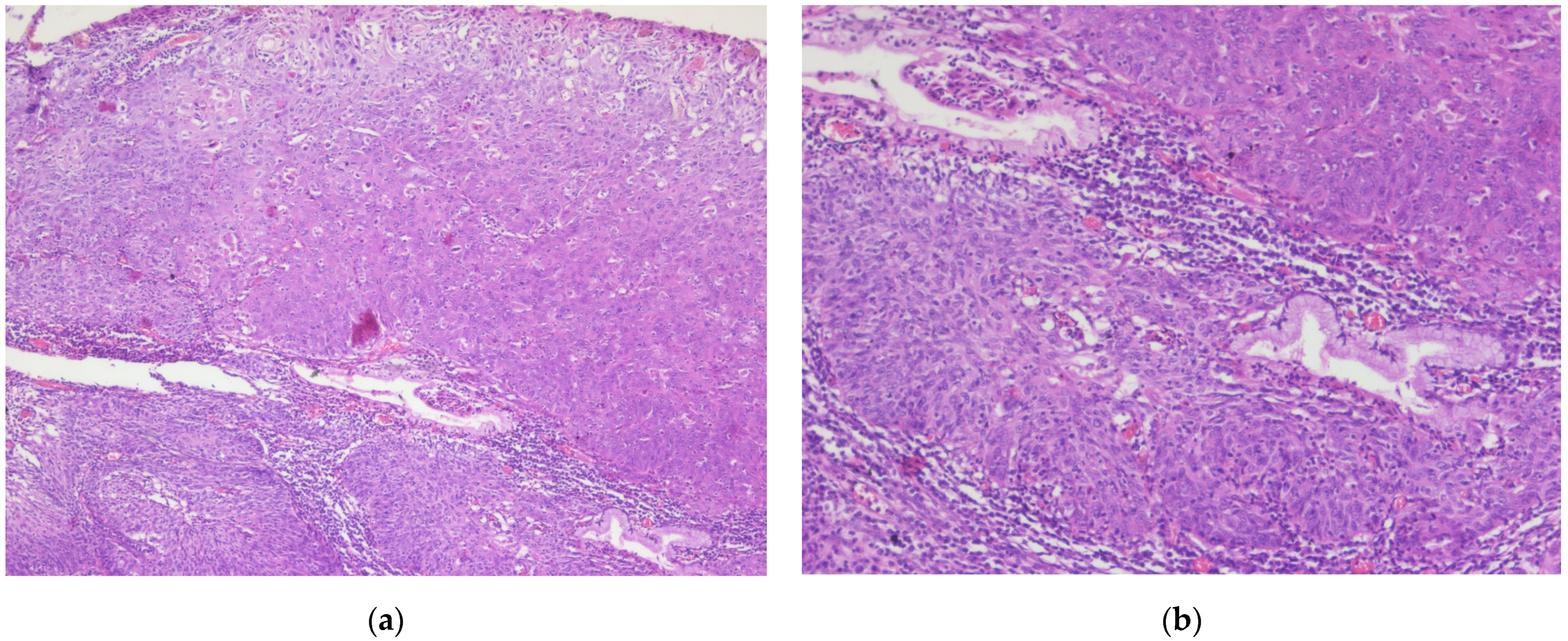 Diagnostics 14 02510 g004