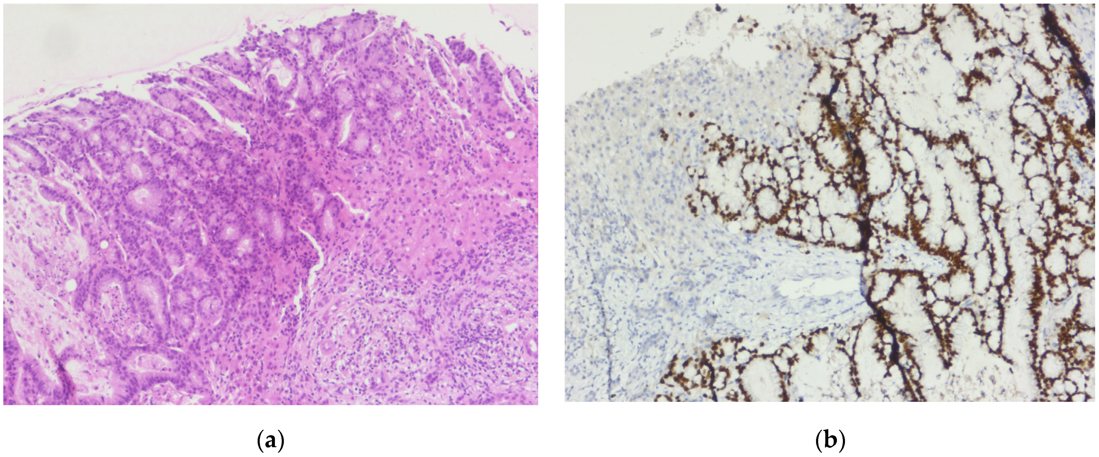 Diagnostics 14 02510 g006