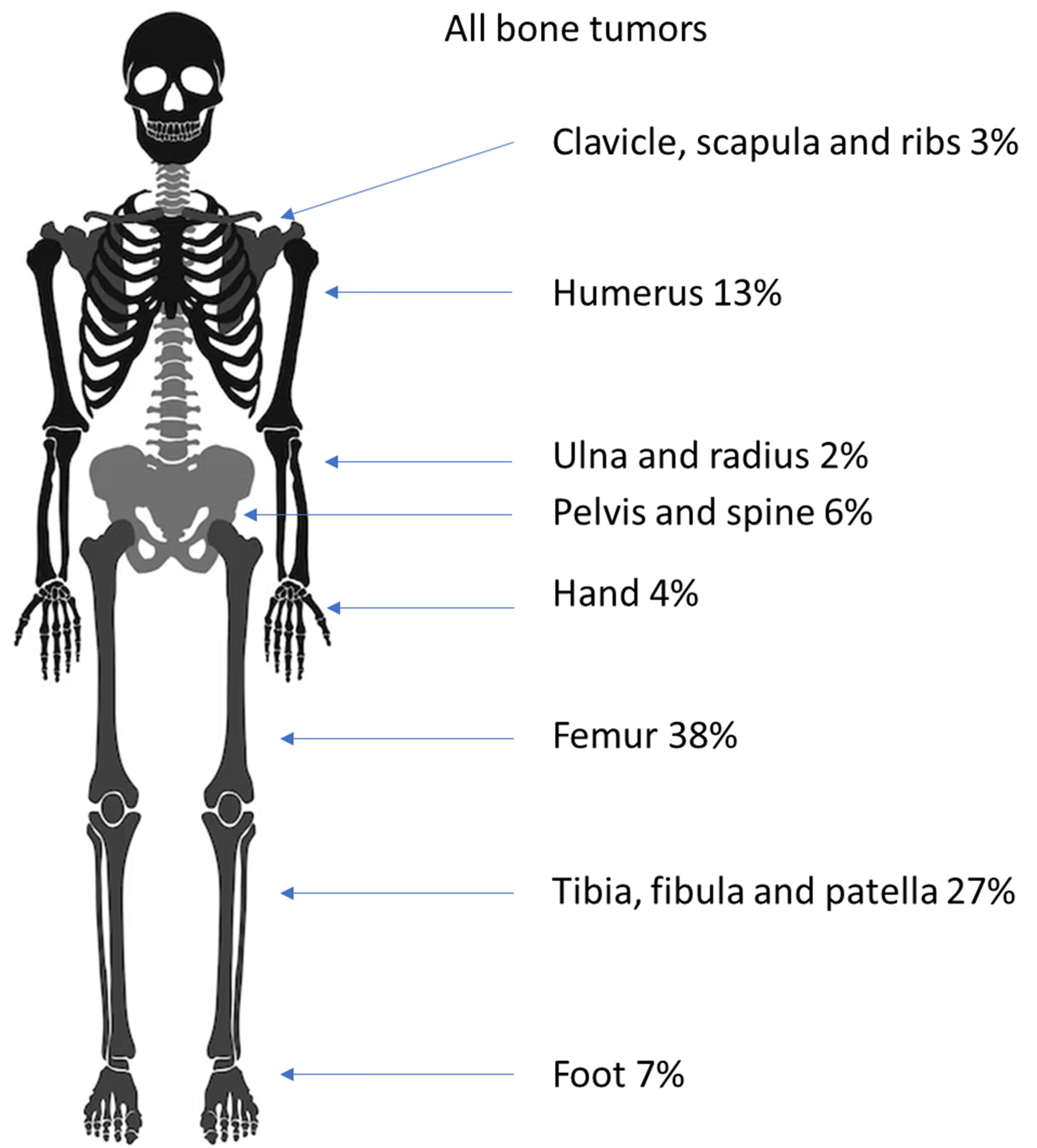 Diagnostics 14 02513 g002