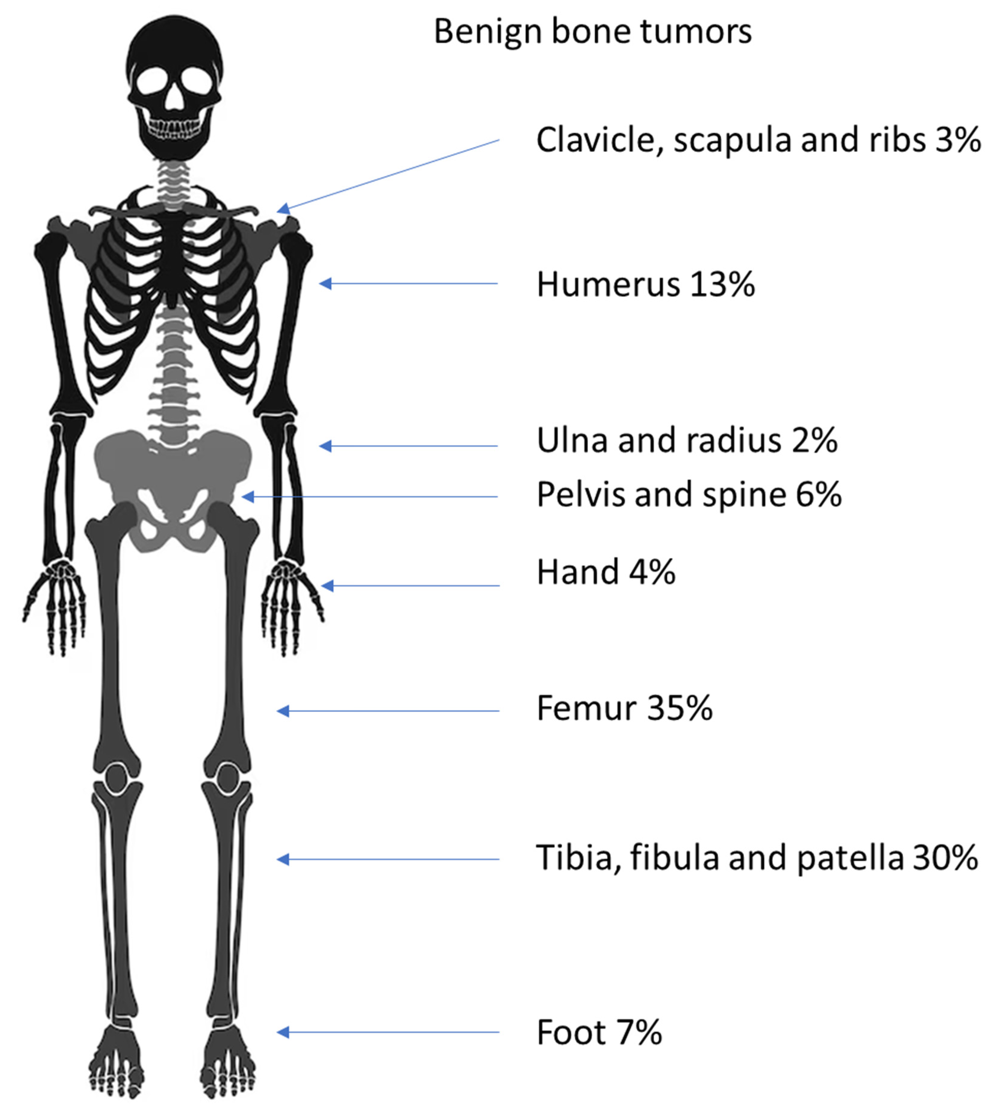 Diagnostics 14 02513 g004