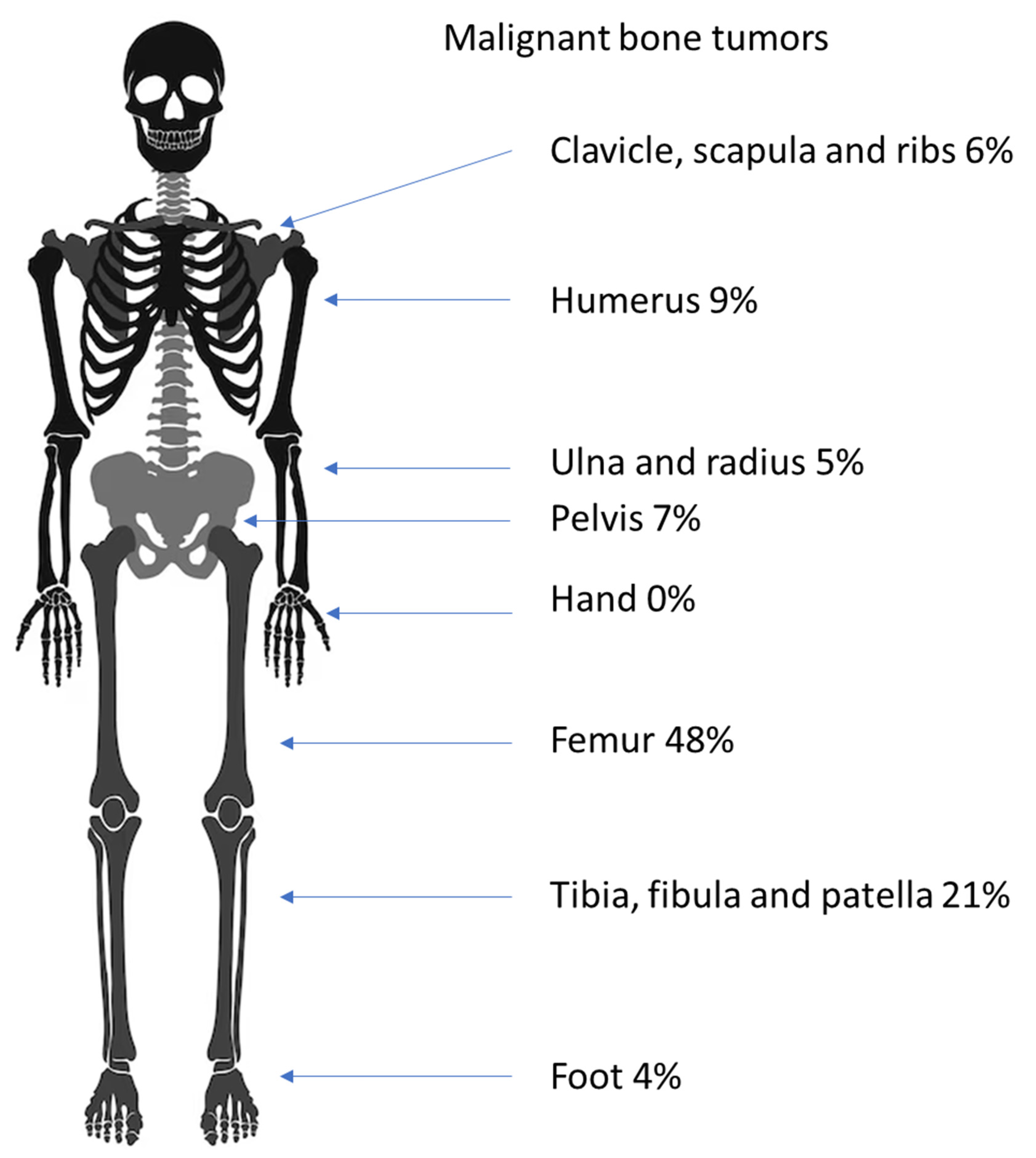 Diagnostics 14 02513 g006