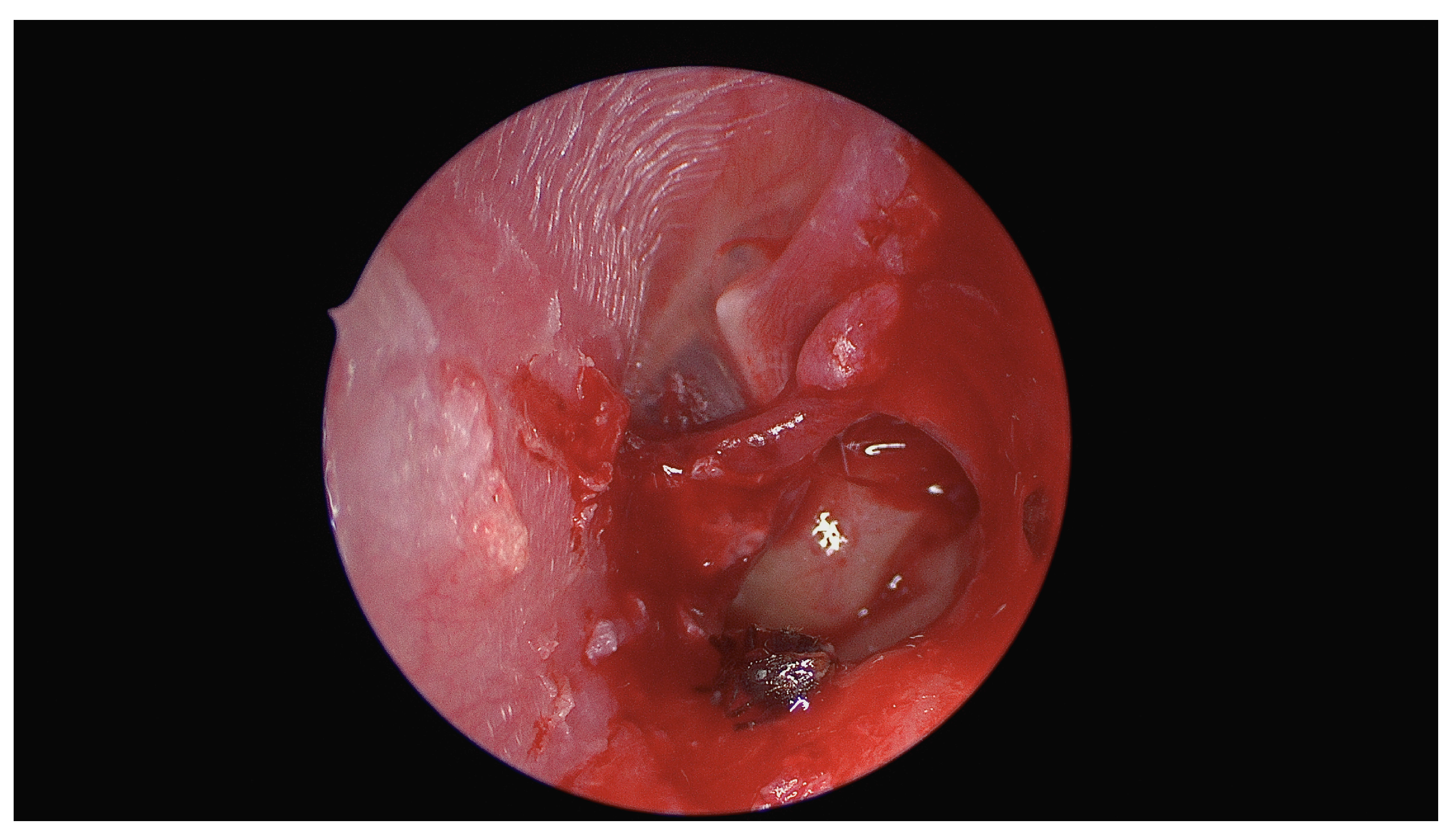 Diagnostics 14 02530 g002