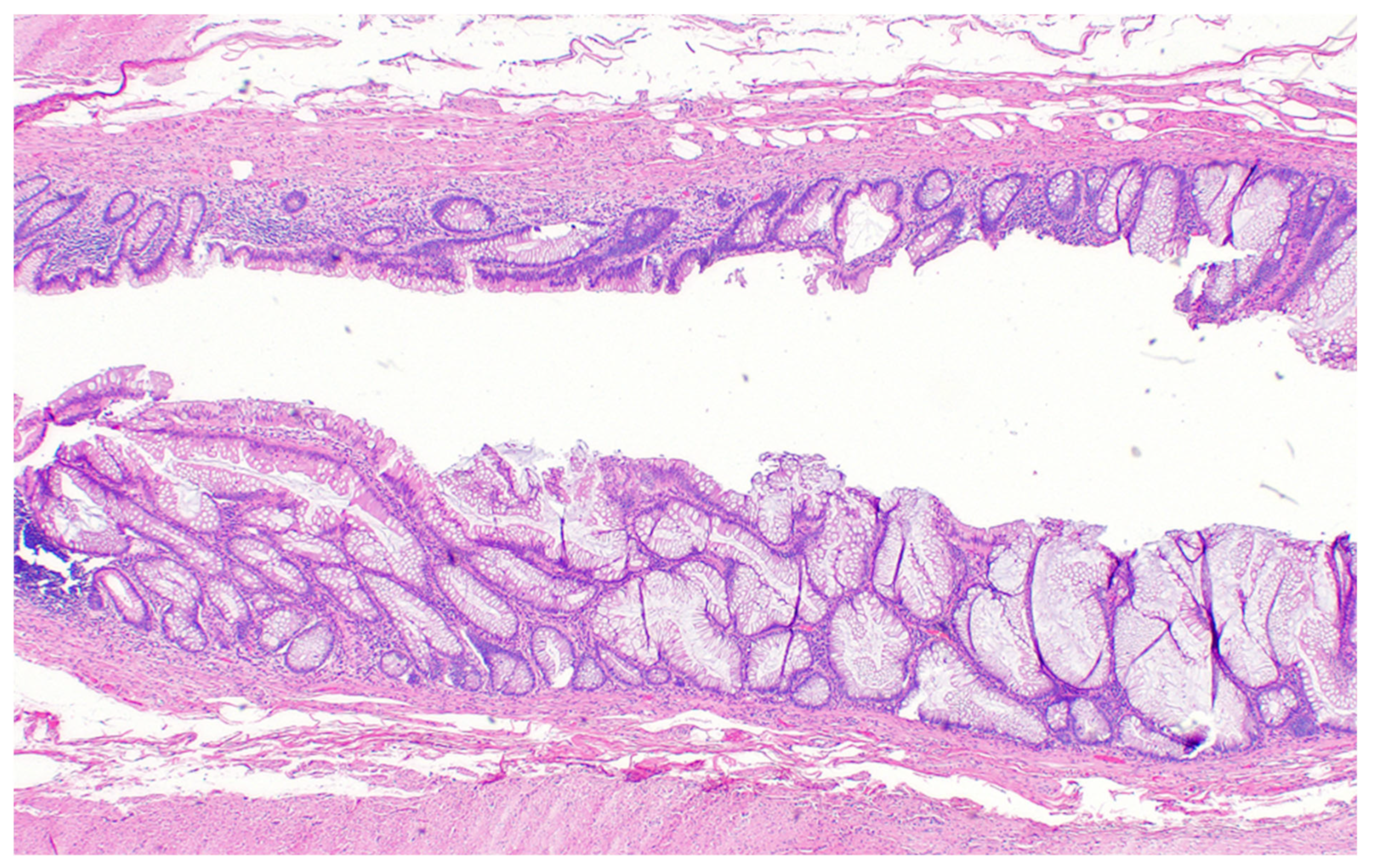 Diagnostics 14 02532 g008