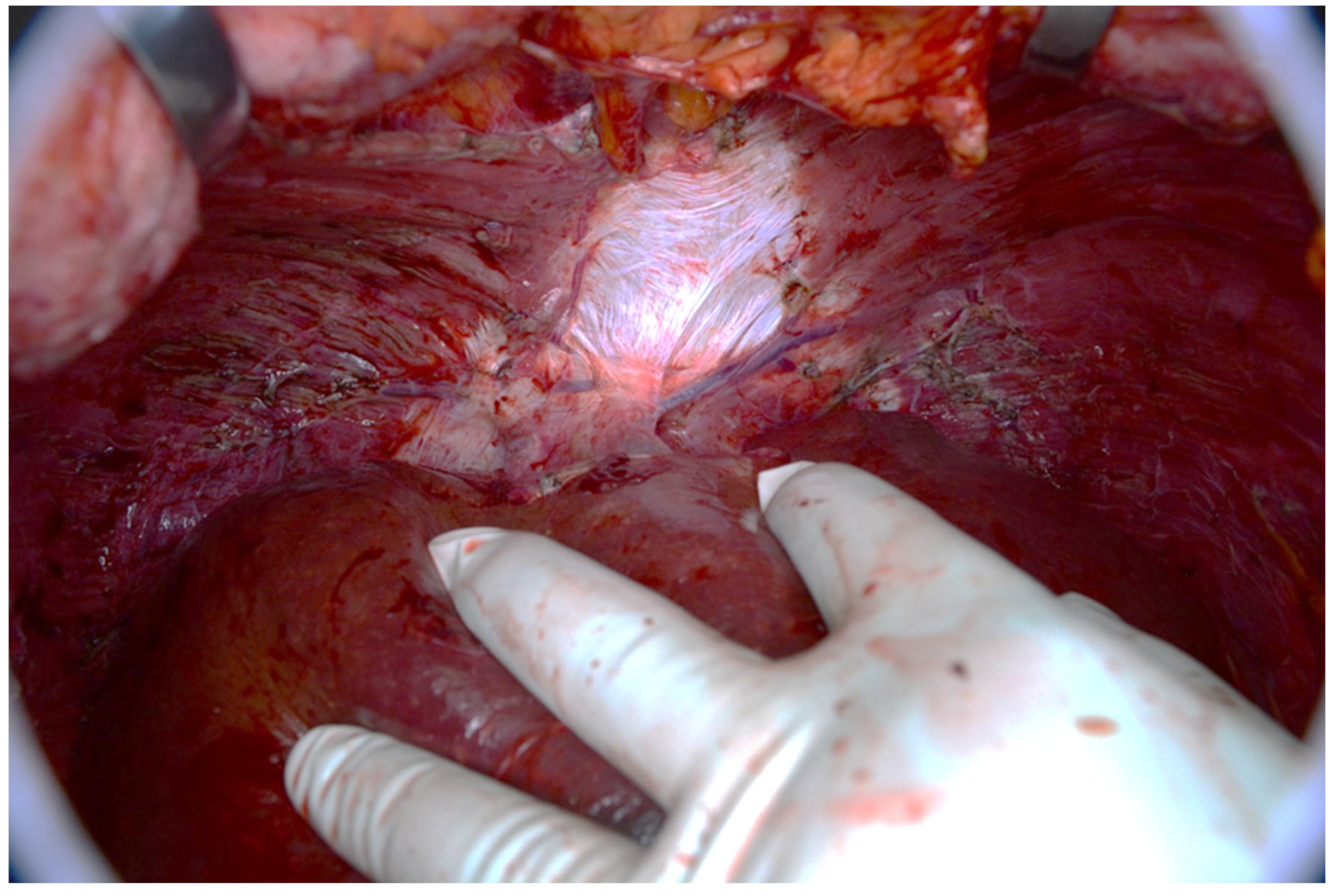 Diagnostics 14 02532 g019