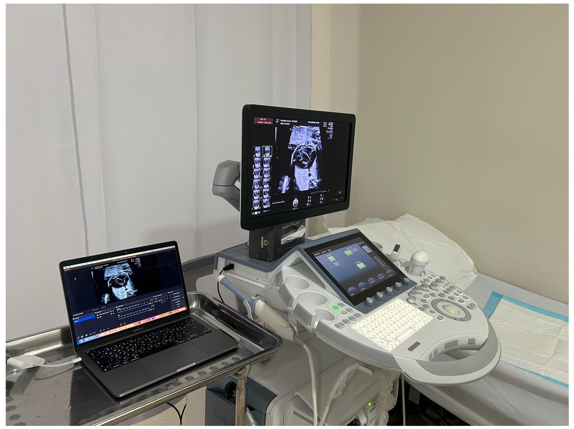 Diagnostics 14 02545 g001 Diagnostics 14 02545 g001