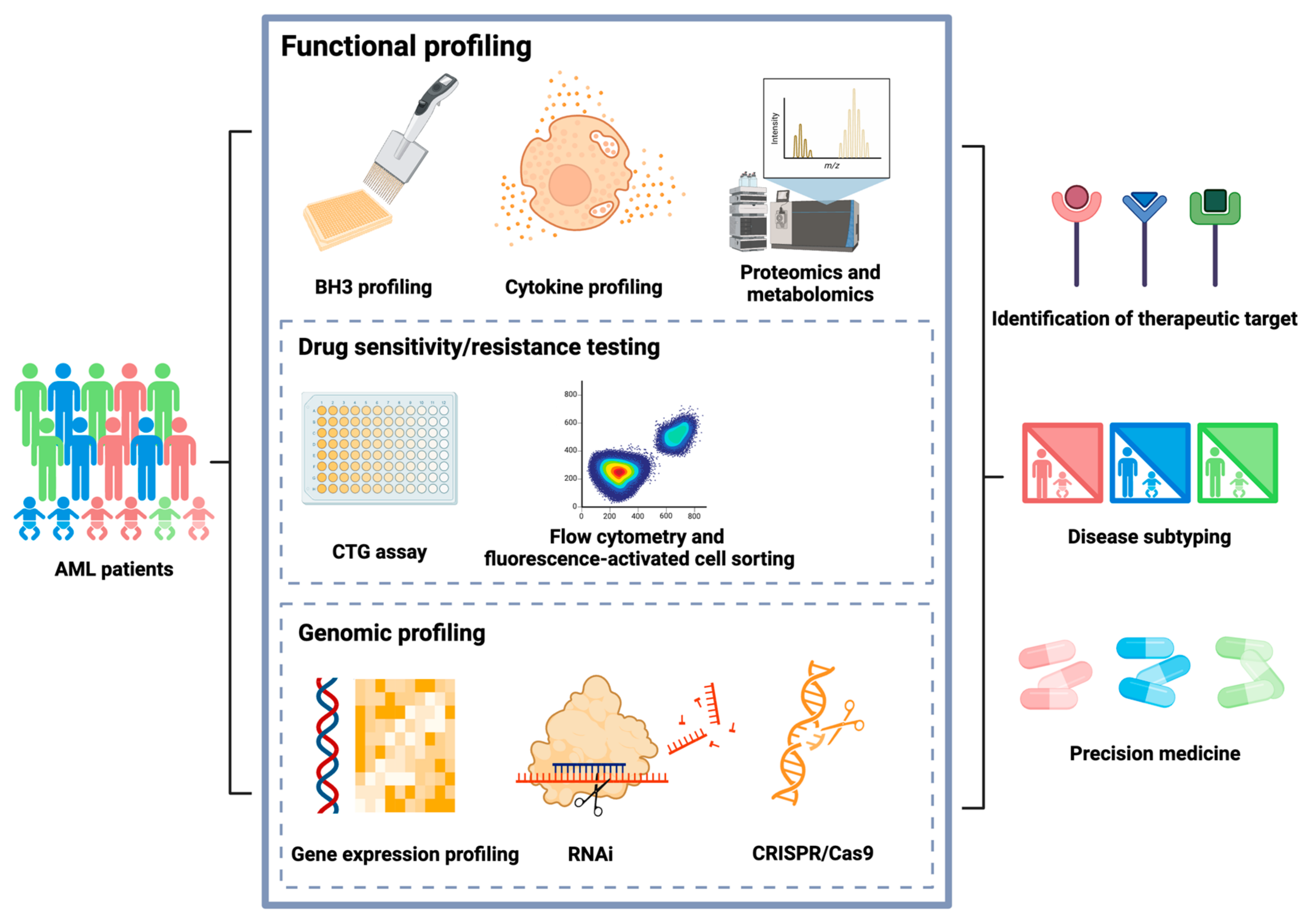 Diagnostics 14 02560 g001