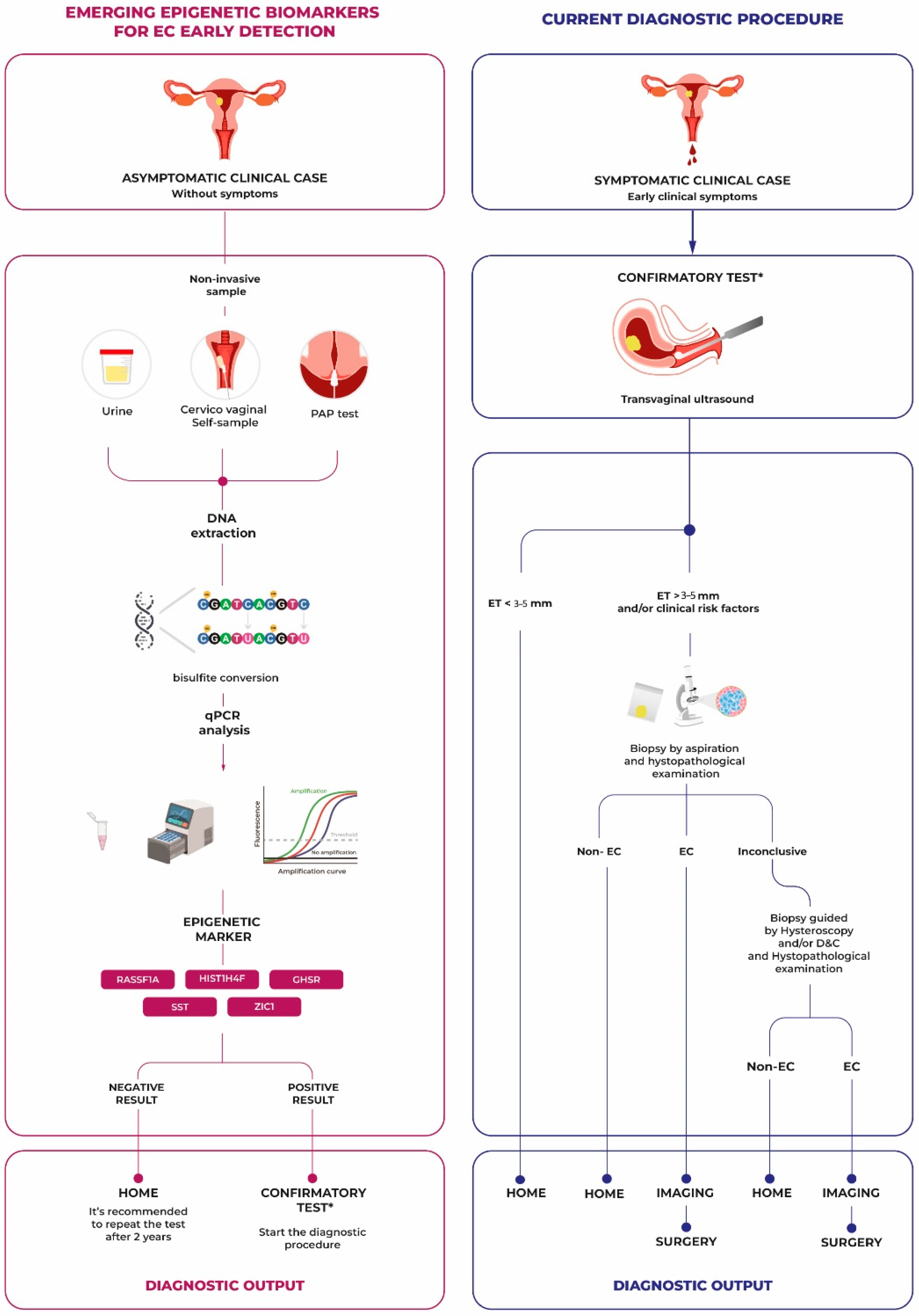 Diagnostics 14 02575 g001