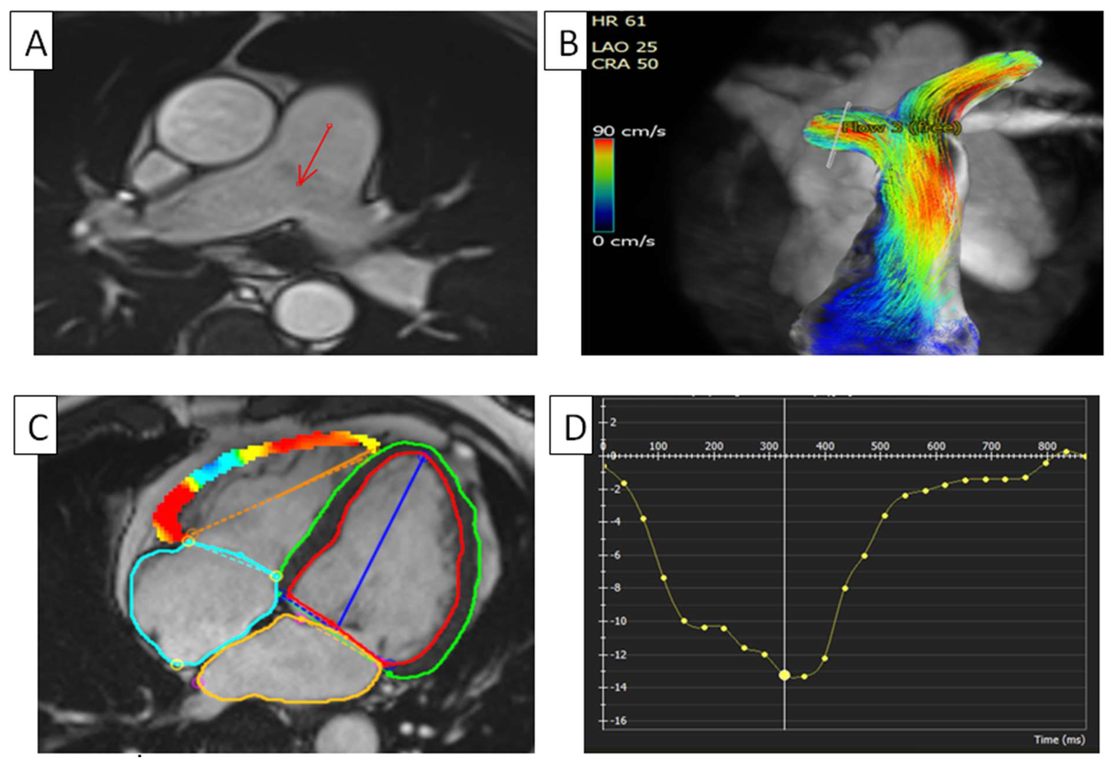 Diagnostics 14 02581 g002